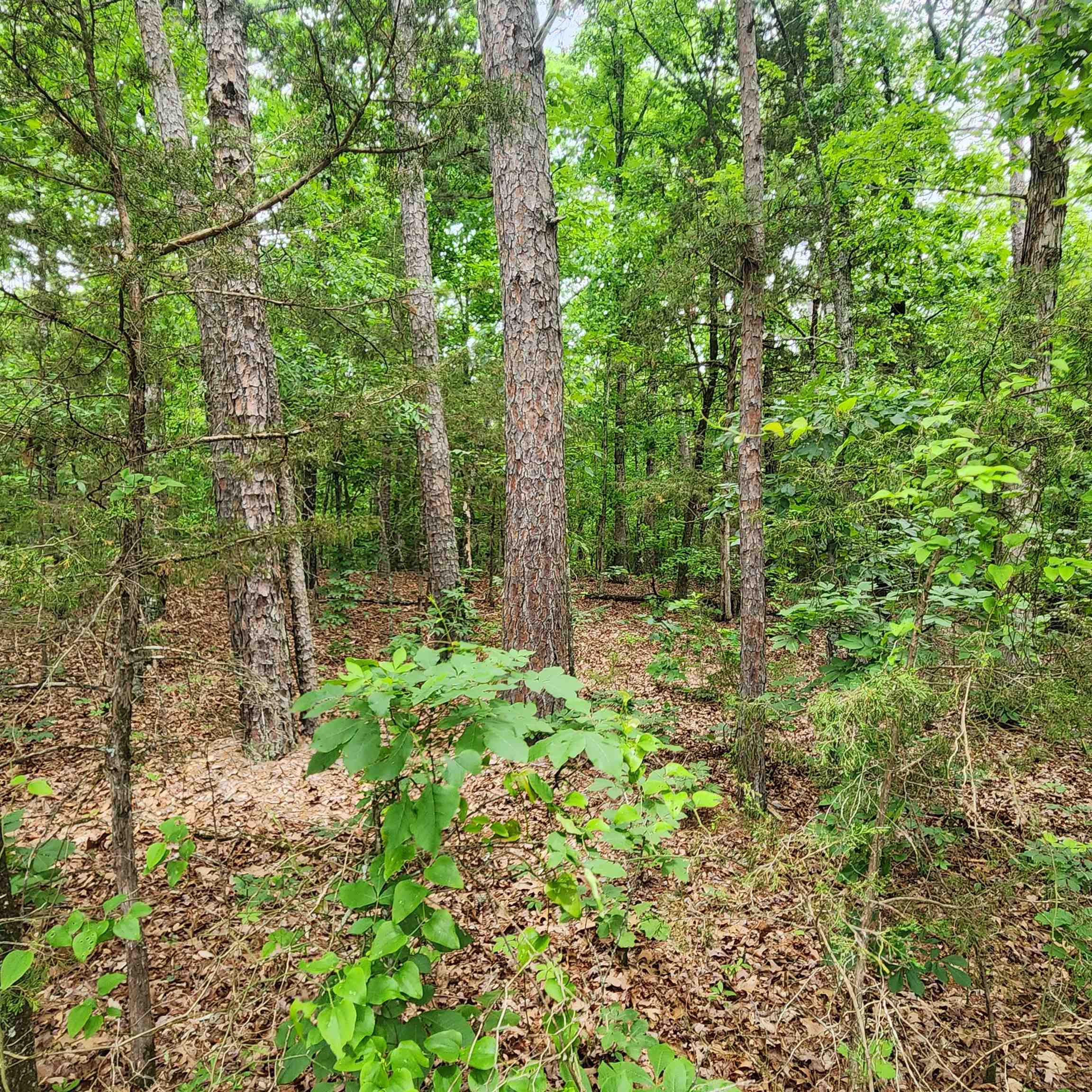 Metes & Bounds - Land