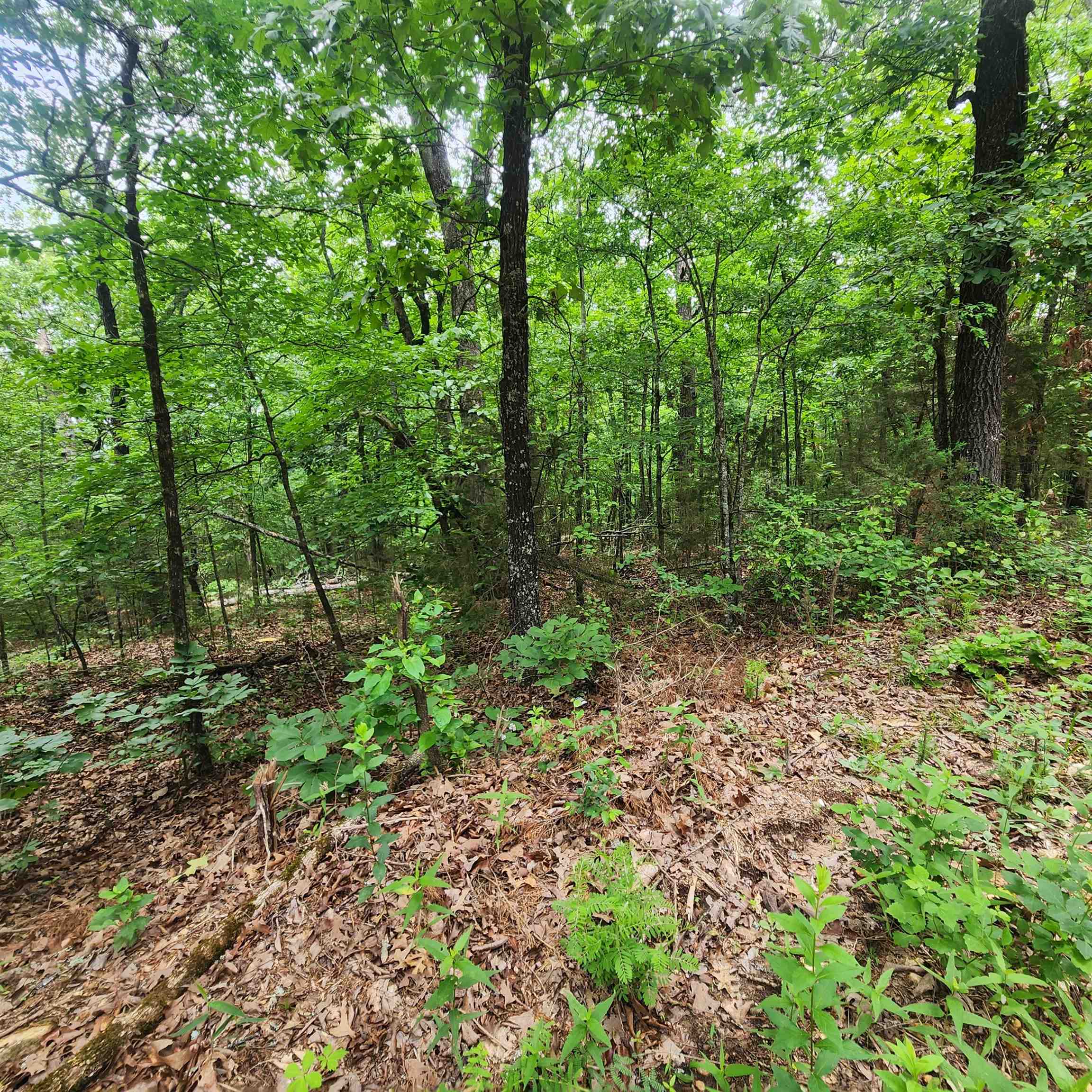 Metes & Bounds - Land