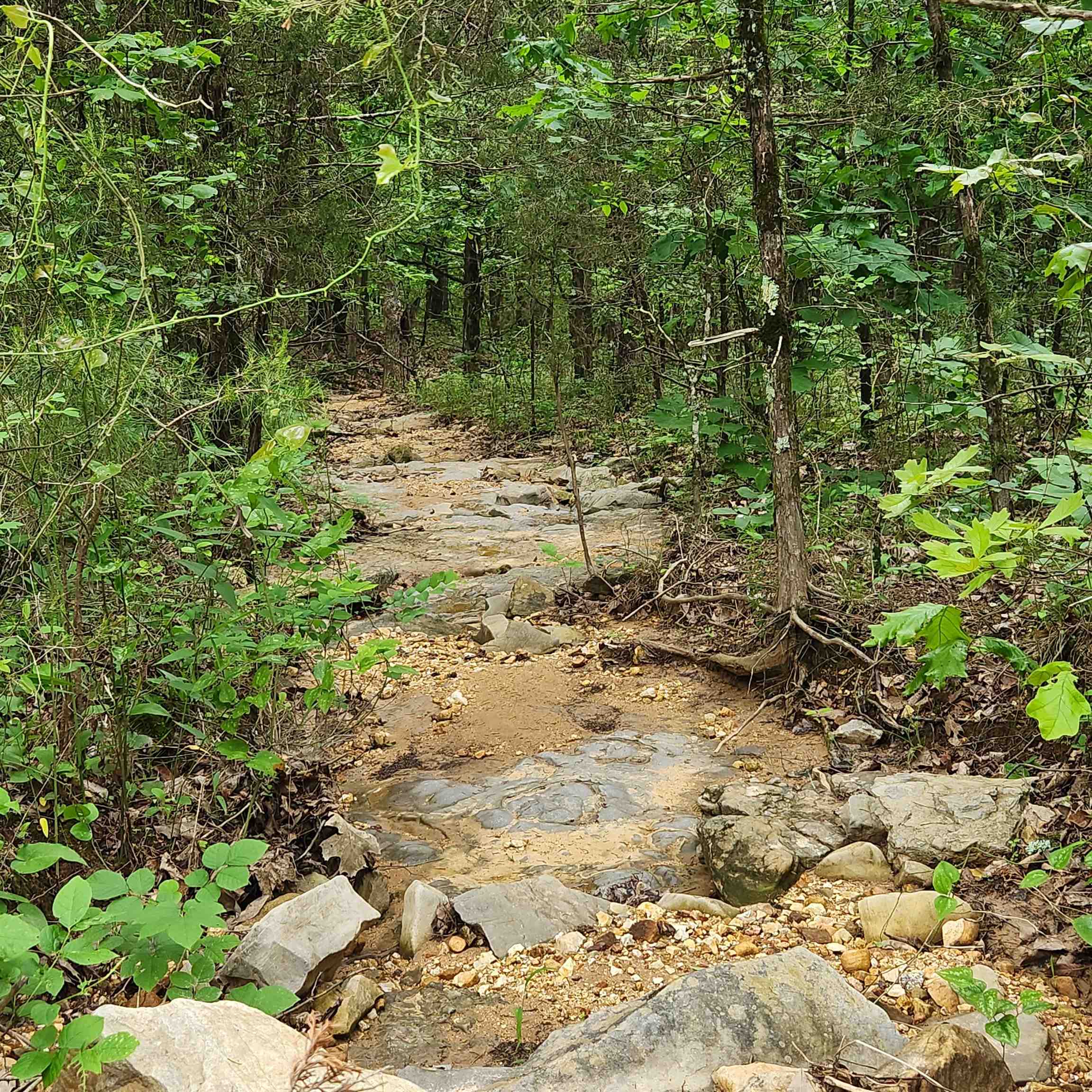 Metes & Bounds - Land