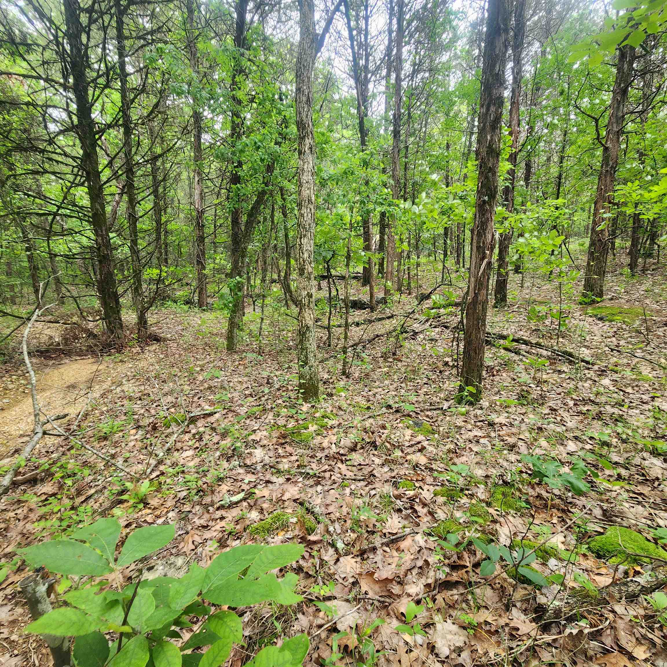 Metes & Bounds - Land