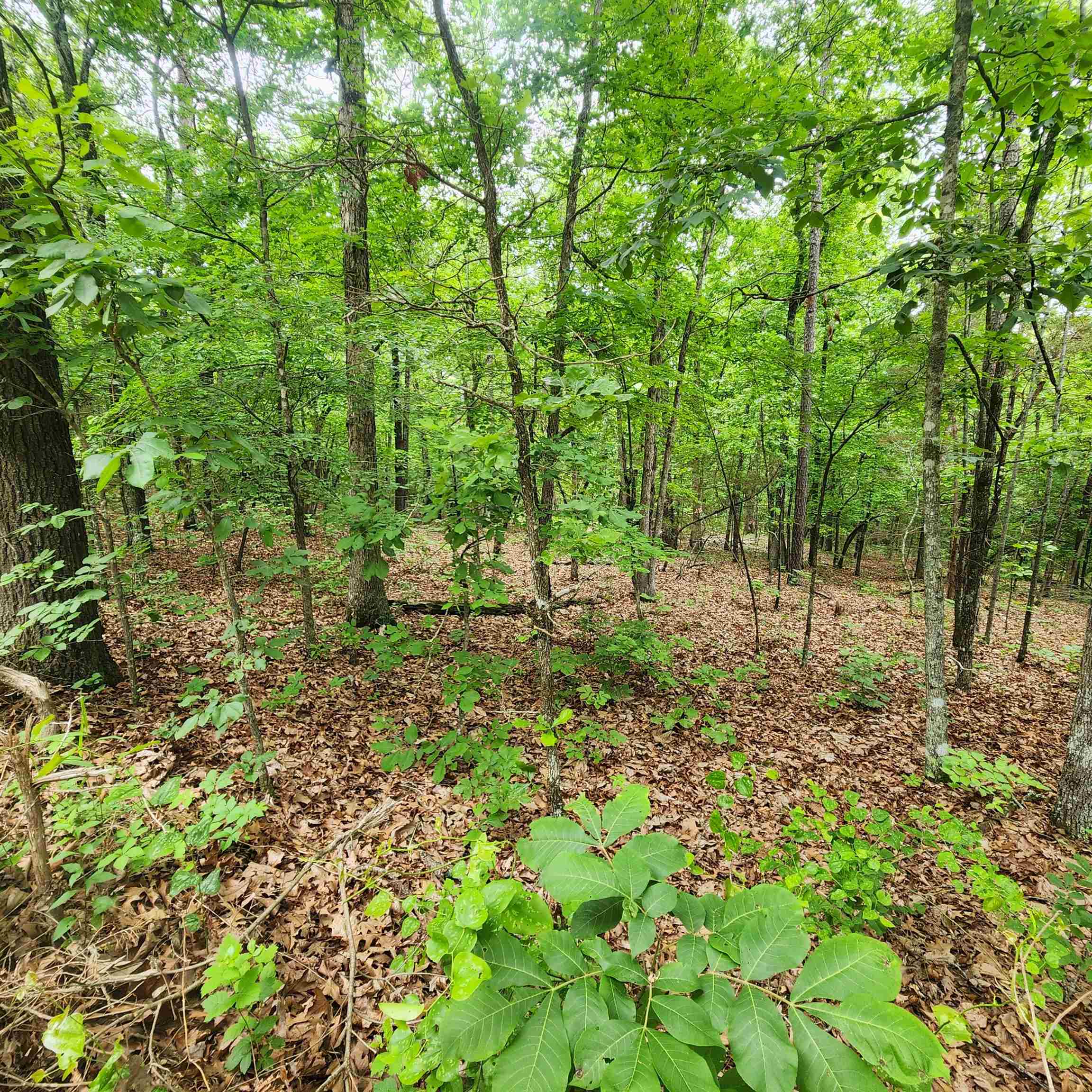 Metes & Bounds - Land