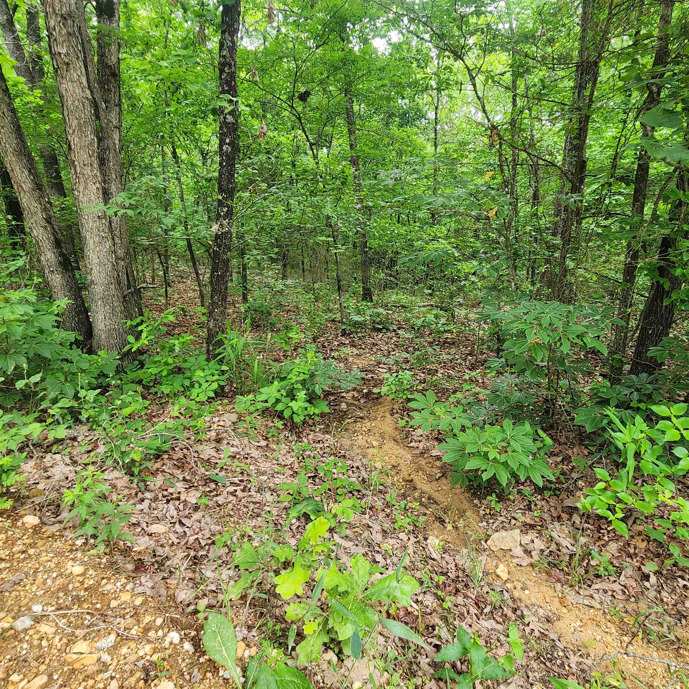 Metes & Bounds - Land