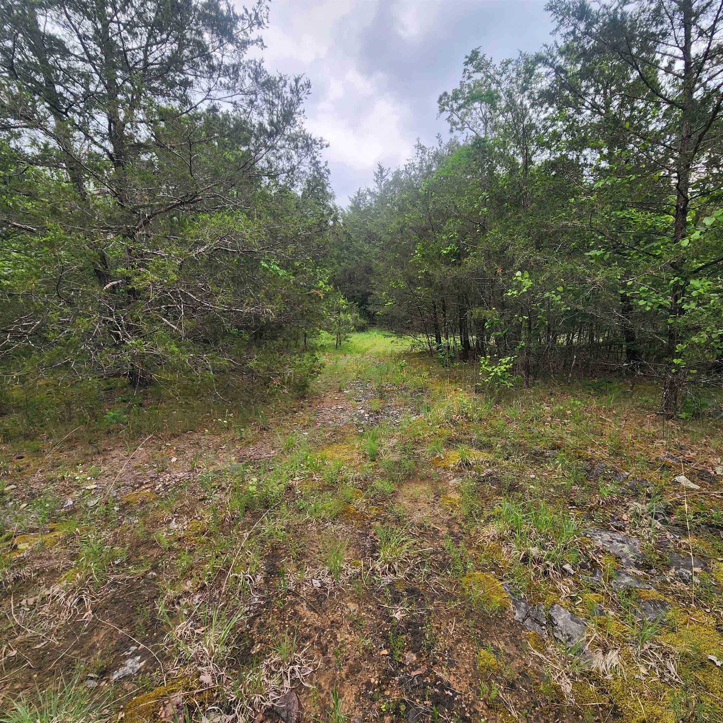 Metes & Bounds - Land