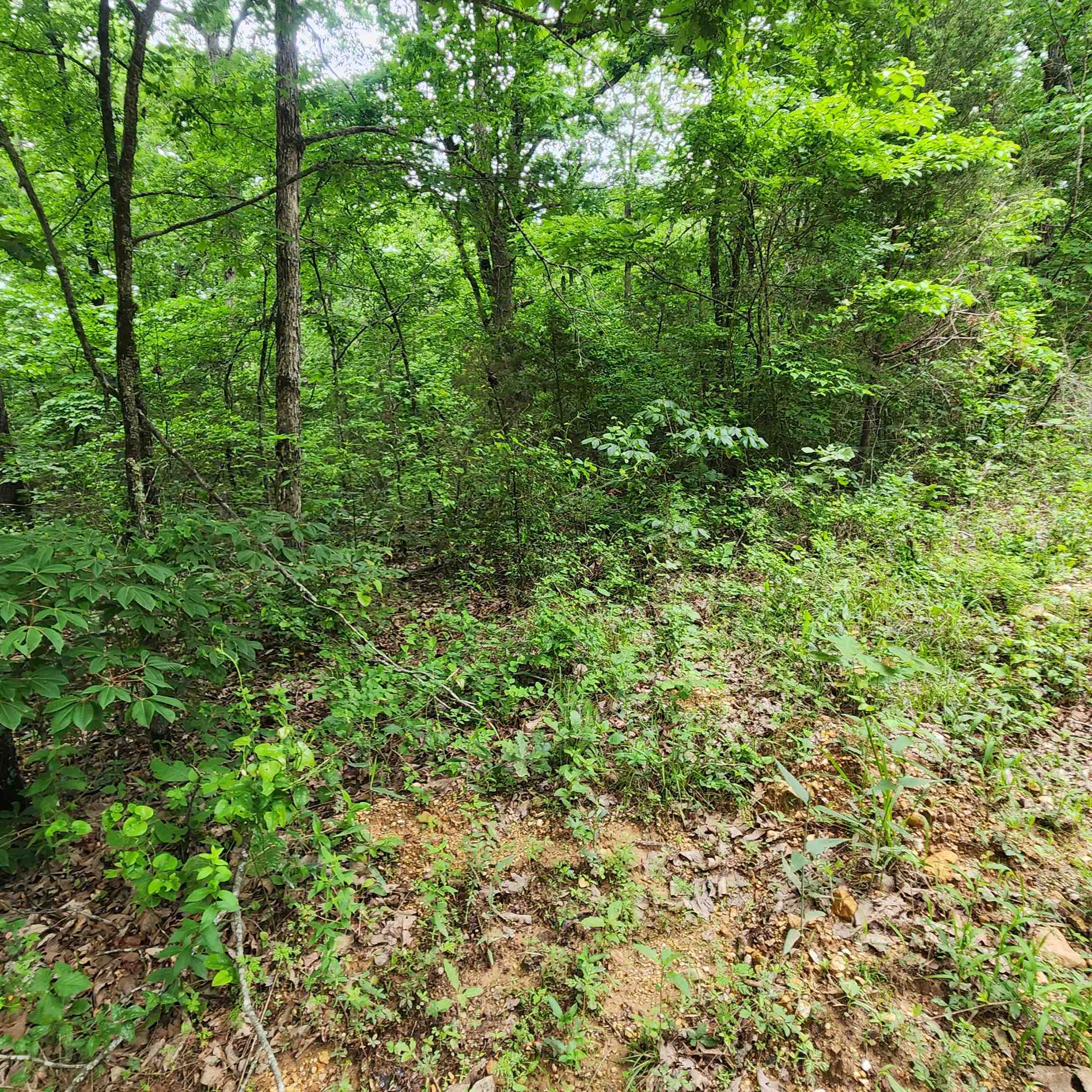 Metes & Bounds - Land