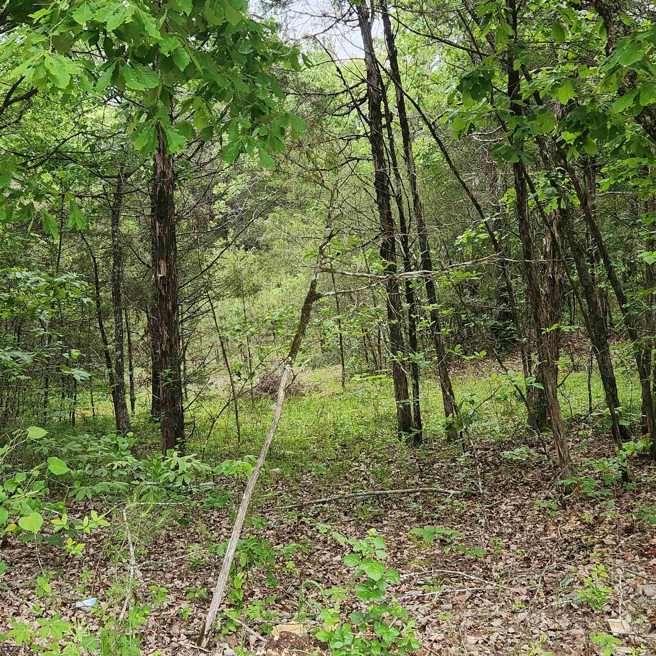 Metes & Bounds - Land