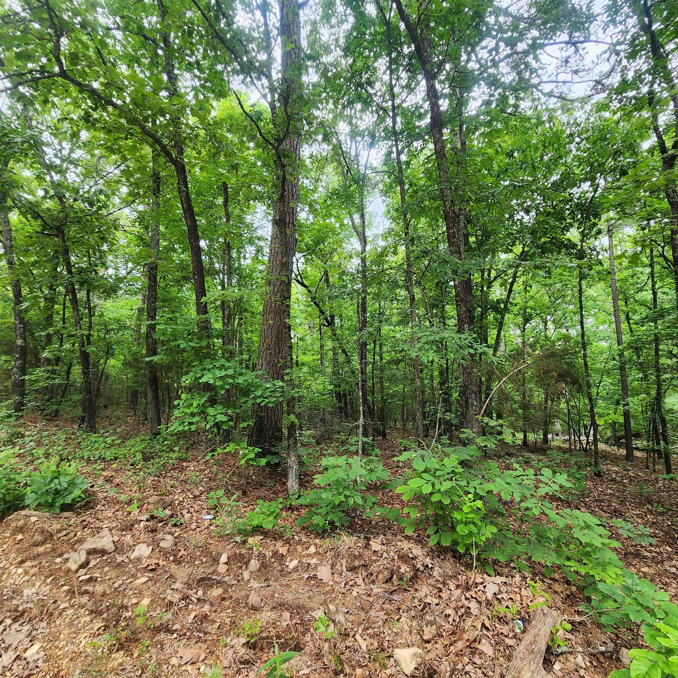 Metes & Bounds - Land