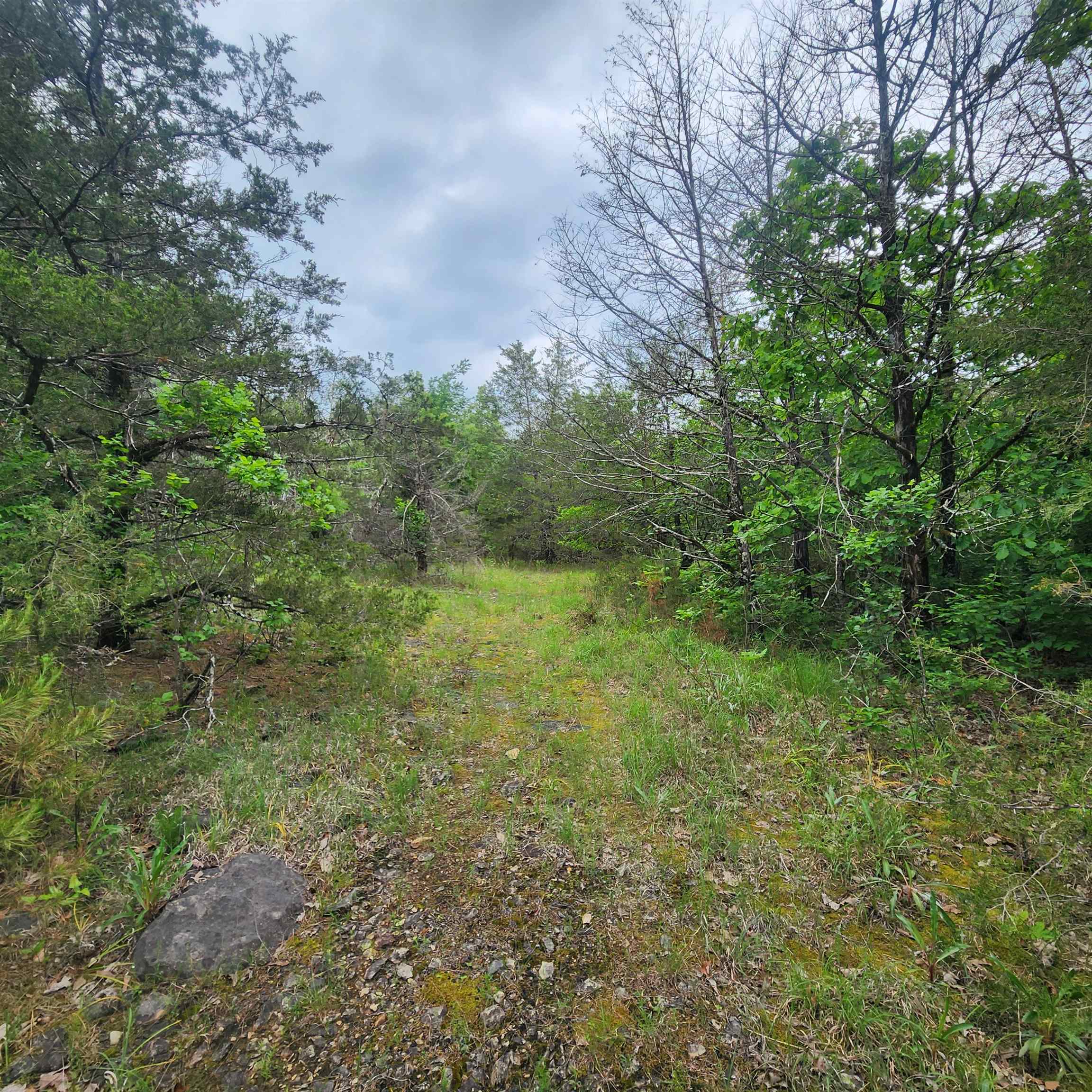 Metes & Bounds - Land