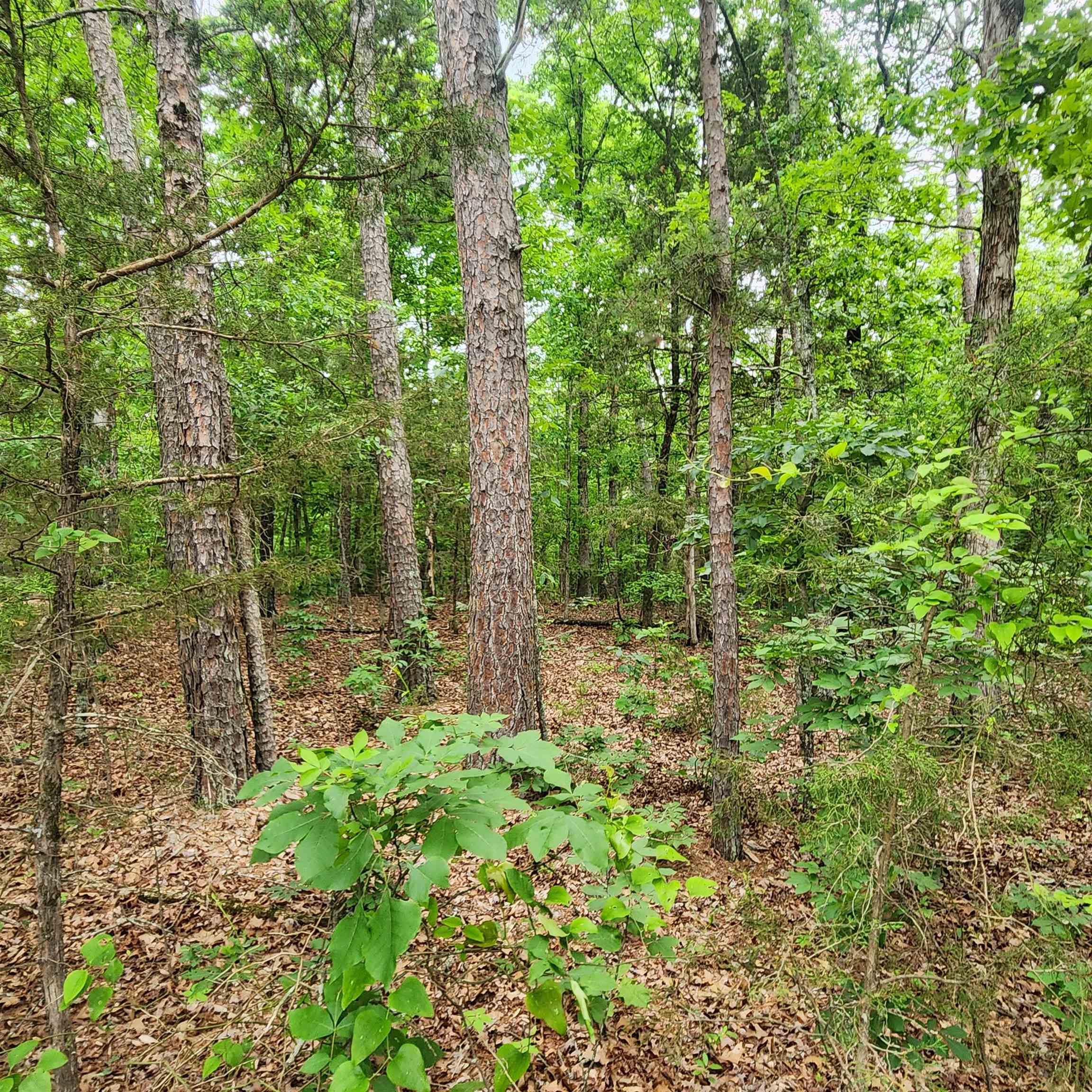 Metes & Bounds - Land