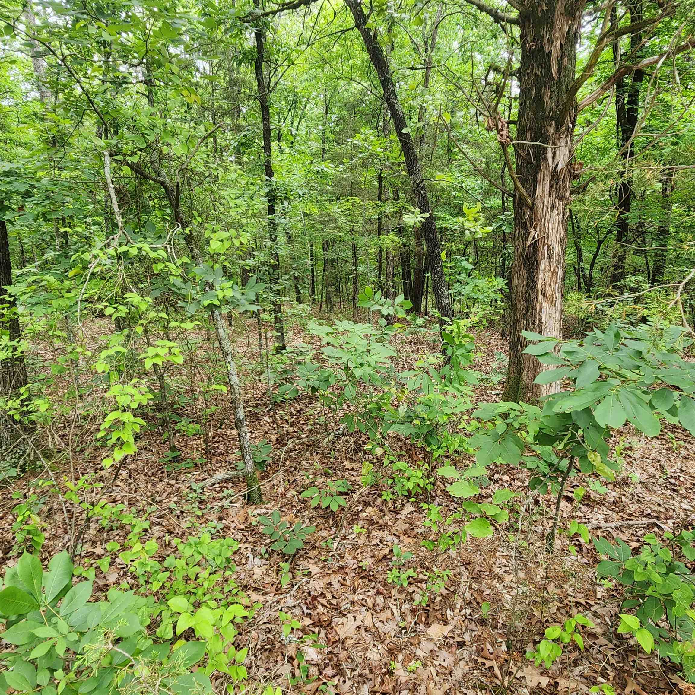 Metes & Bounds - Land