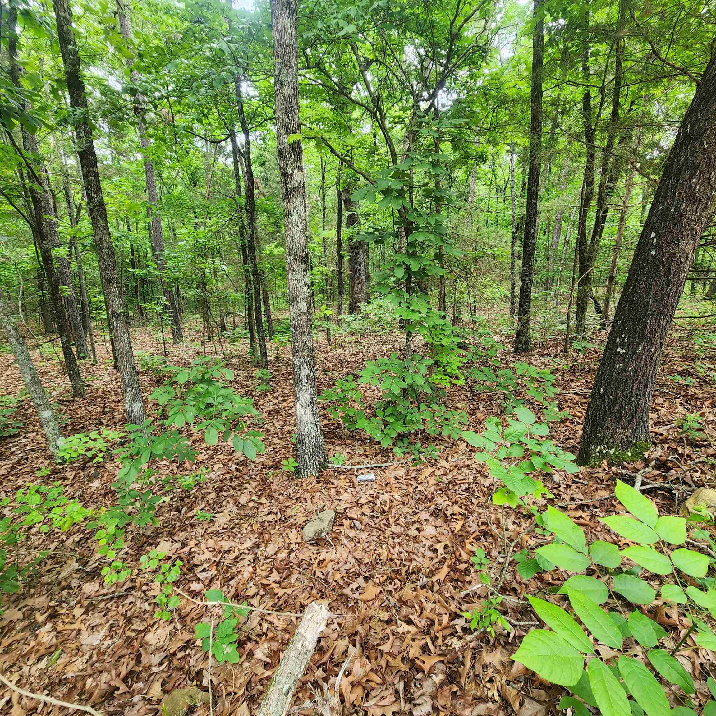 Metes & Bounds - Land