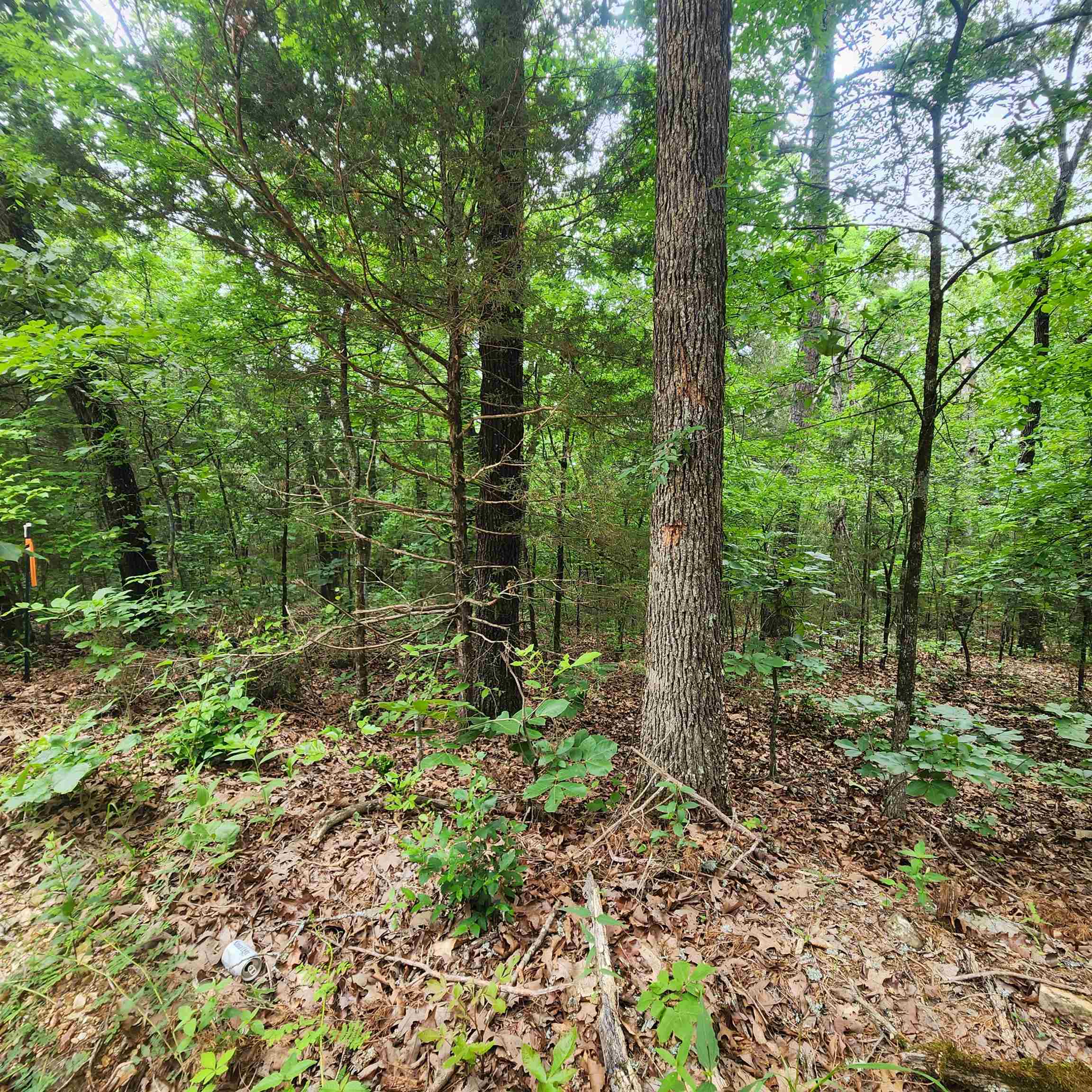 Metes & Bounds - Land