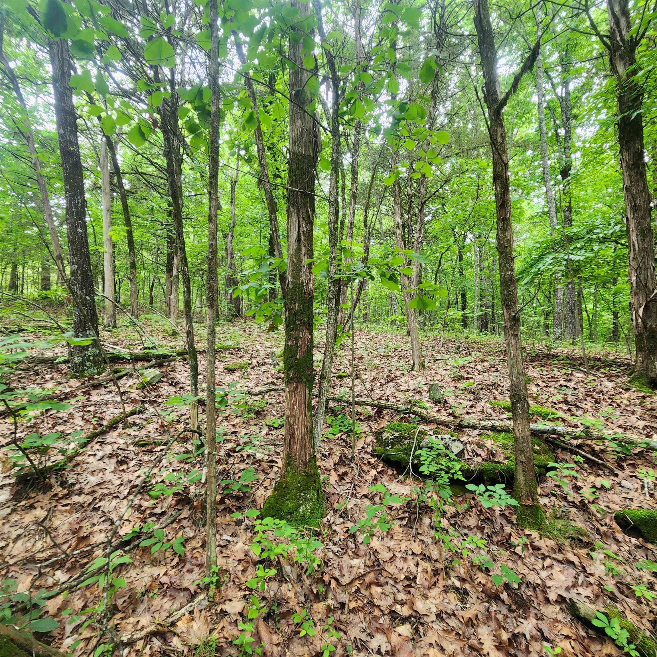 Metes & Bounds - Land