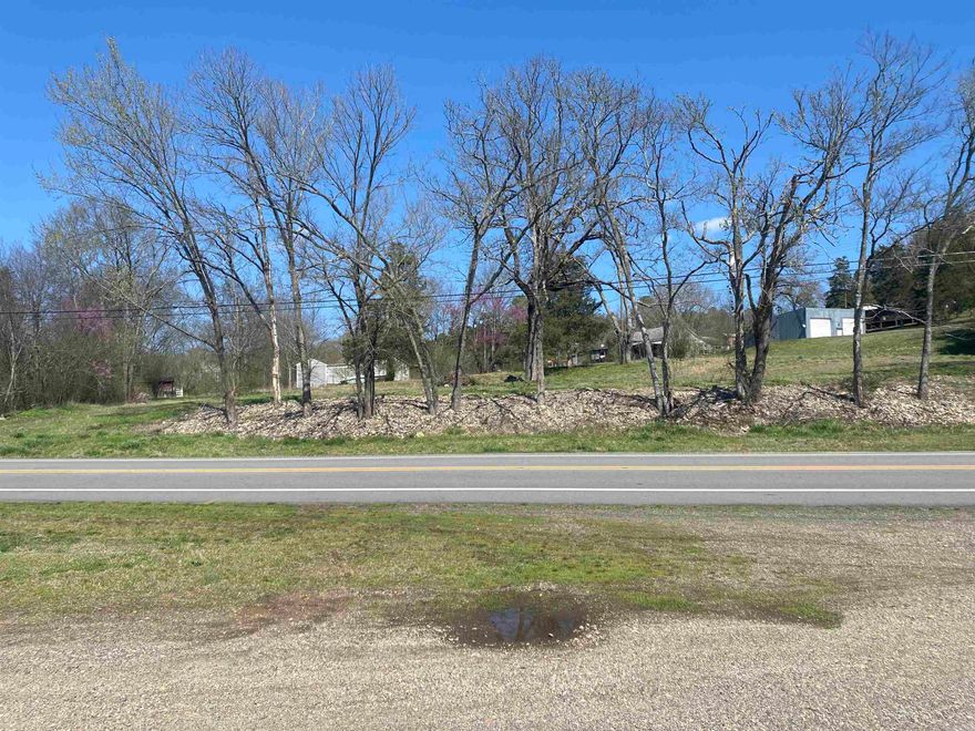 3 city lots in Norman. Hwy 8 frontage that would benefit a small business or food truck! Just minutes from the Caddo River and all the amenities of the Ouachita National Forest! City water, sewer, and electric available on the property! Also, a great homesite with no restrictions.