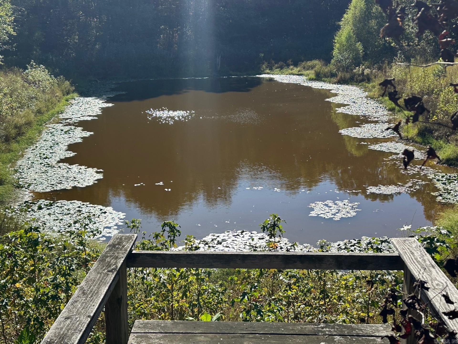 Rectors - Residential