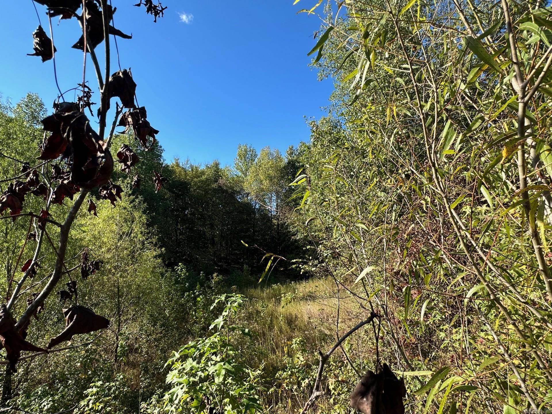 Rectors - Residential