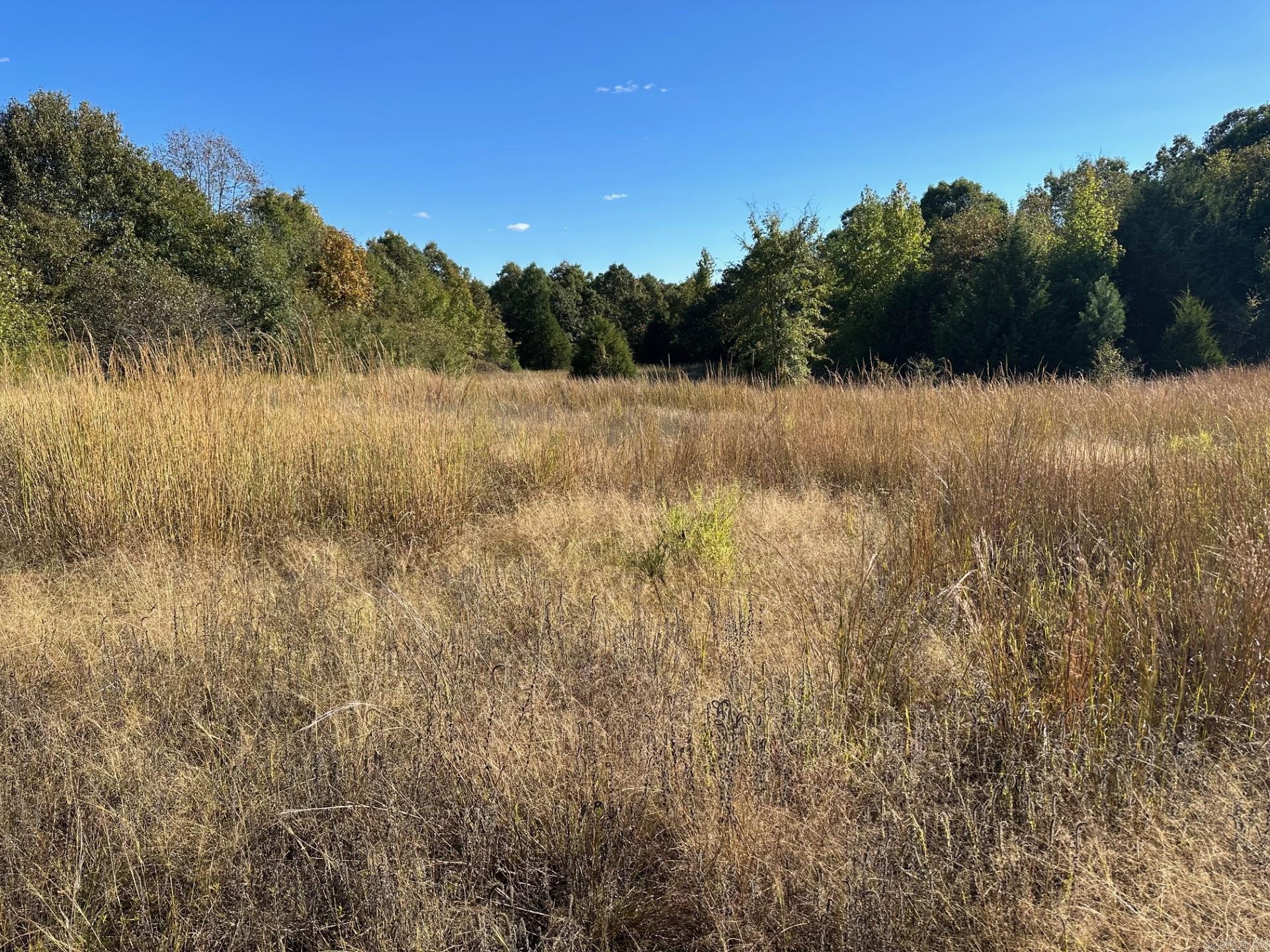 Rectors - Residential