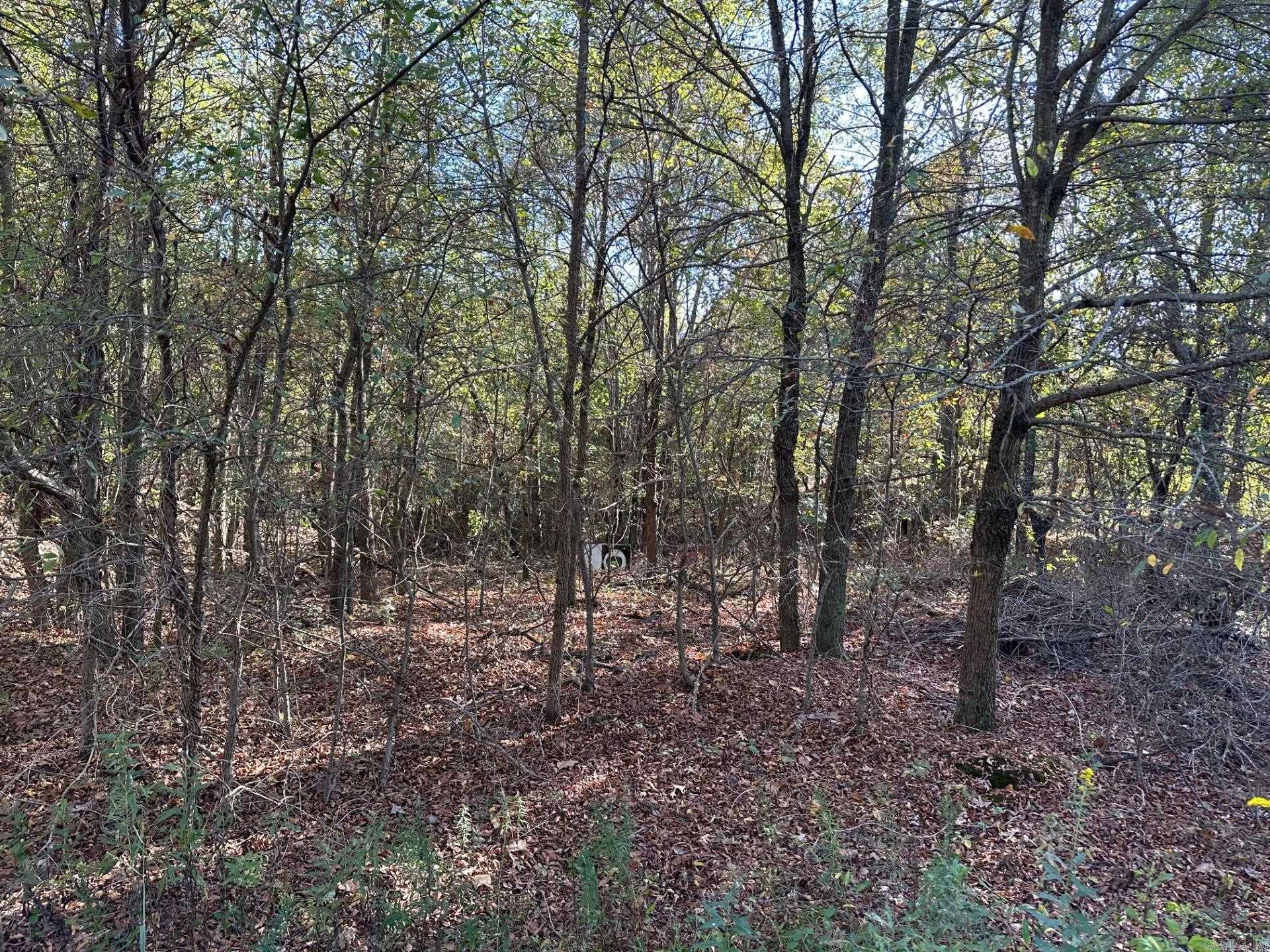 Rectors - Residential