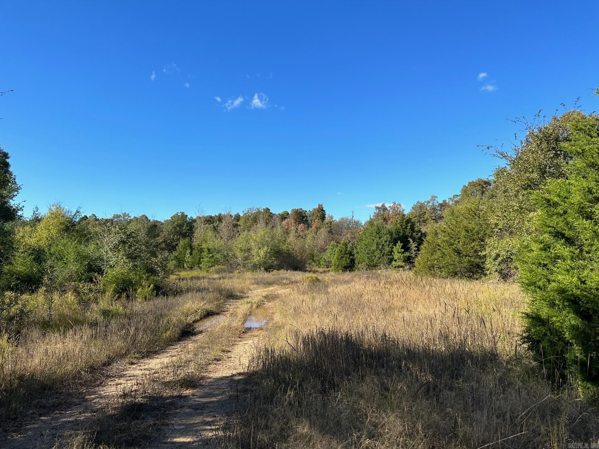 Rectors - Residential