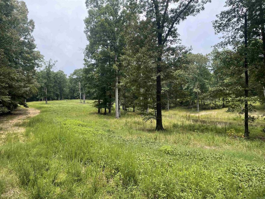 New to the market is this beautiful piece of secluded serenity. Enjoy out of town living while still being within 15 minutes of Paragould or Jonesboro and 5 minutes from Brookland. This 30 +/- acre tract has multiple building sites for your new home and abundant wildlife for the avid outdoorsman. this is tract 3 of 3 with 10 additional acres available to purchase.