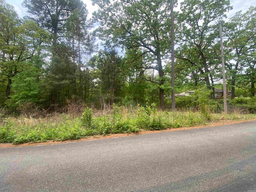 Wooded lot in Pulaski County ready for development.