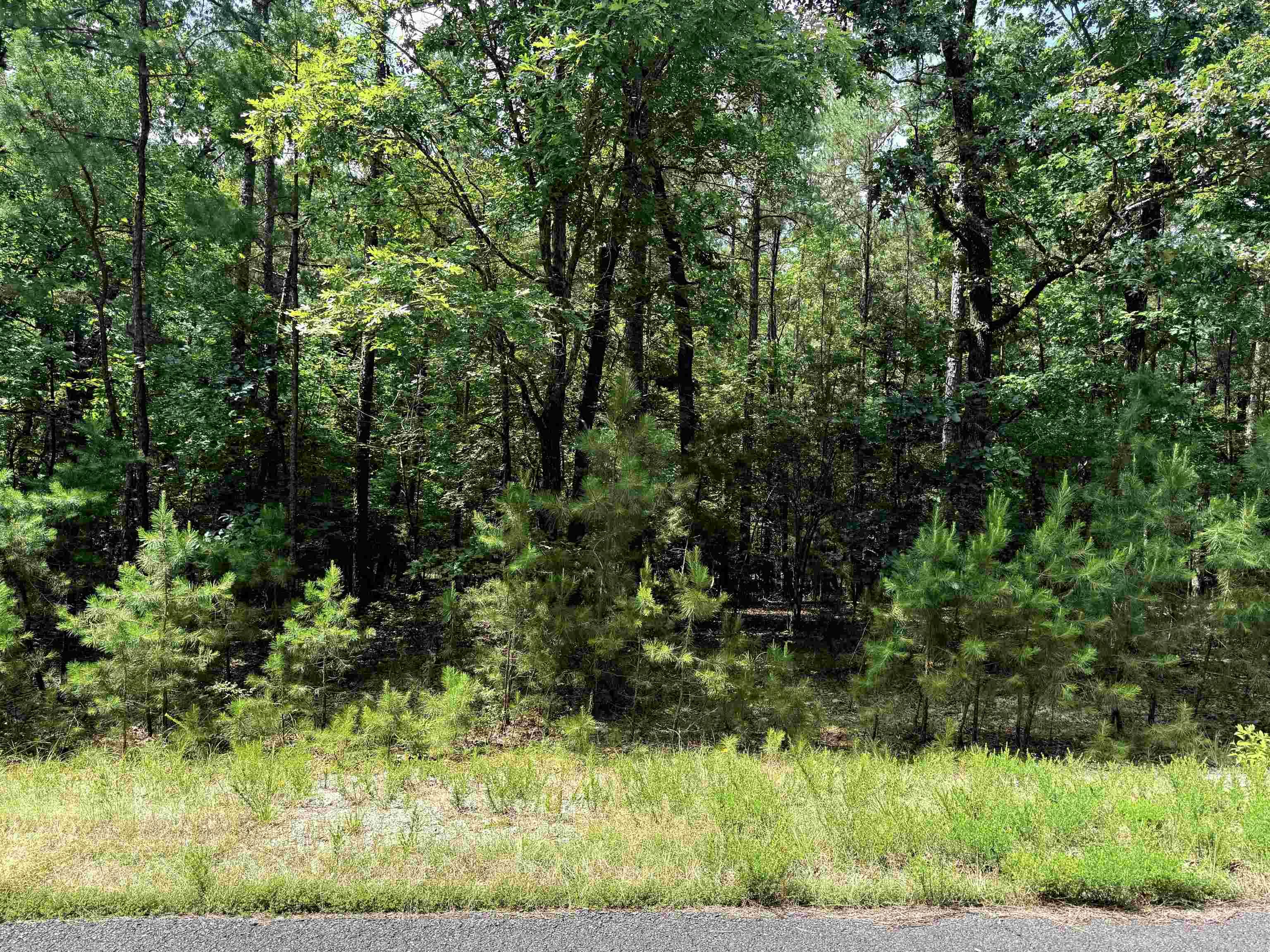 Secluded, build-ready lot in the Lake Balboa neighborhood—ideal for your custom home or weekend retreat.