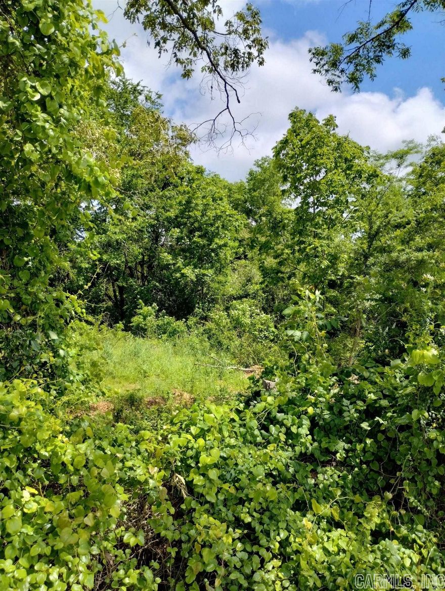 PERFECT LOCATION for your site-built or forever homestead close to Centerpoint Schools. Water at the road