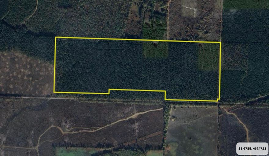 This property has planted pine timber and would make a great investment or hunting and recreational tract.