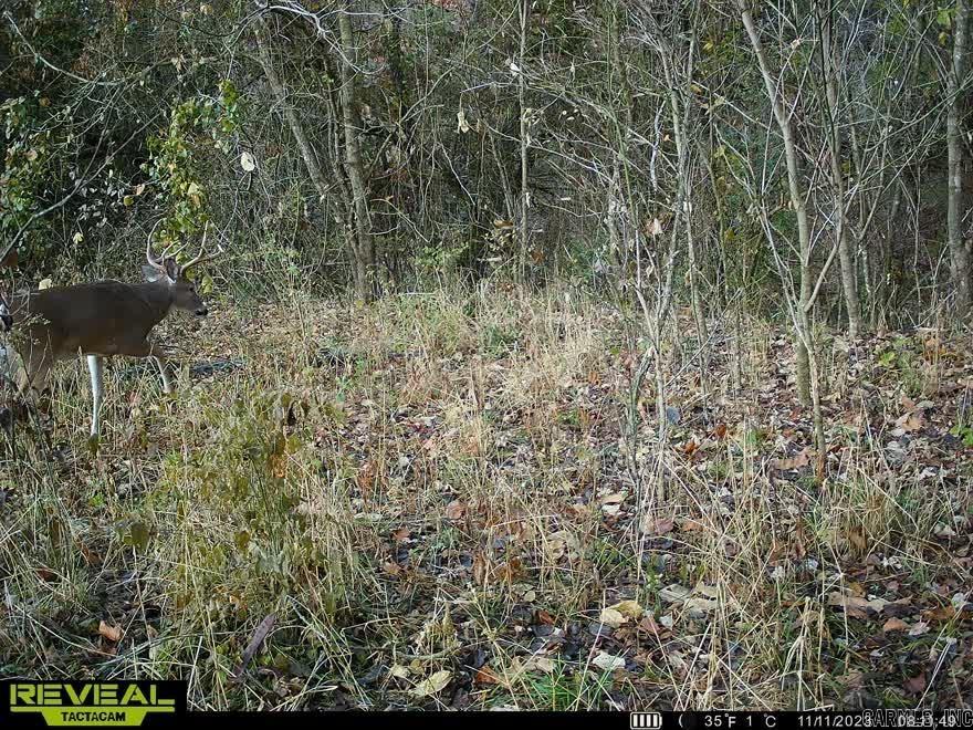 Metes & Bounds - Farm