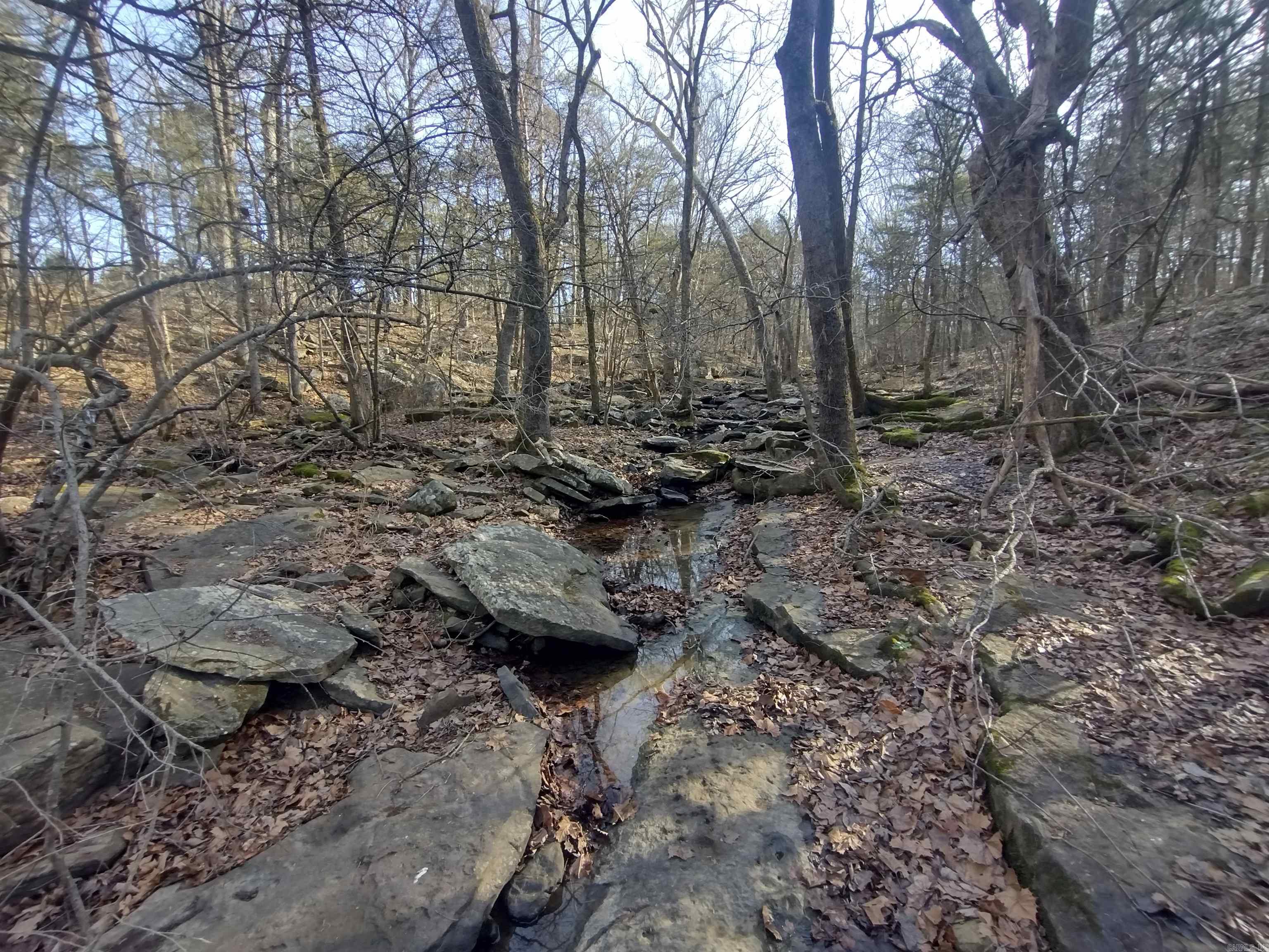 Metes & Bounds - Land