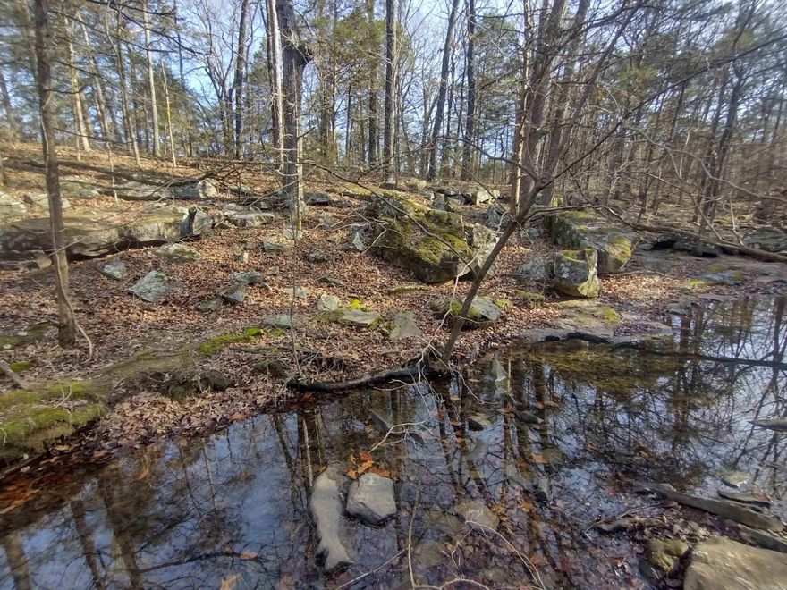 This is super property has lots to offer has small creek, has view of Mountains and has pasture power line runs up one side of property joins state HWY for public water access, but main part of property sets back away from HWY for privacy this is a must-see property.