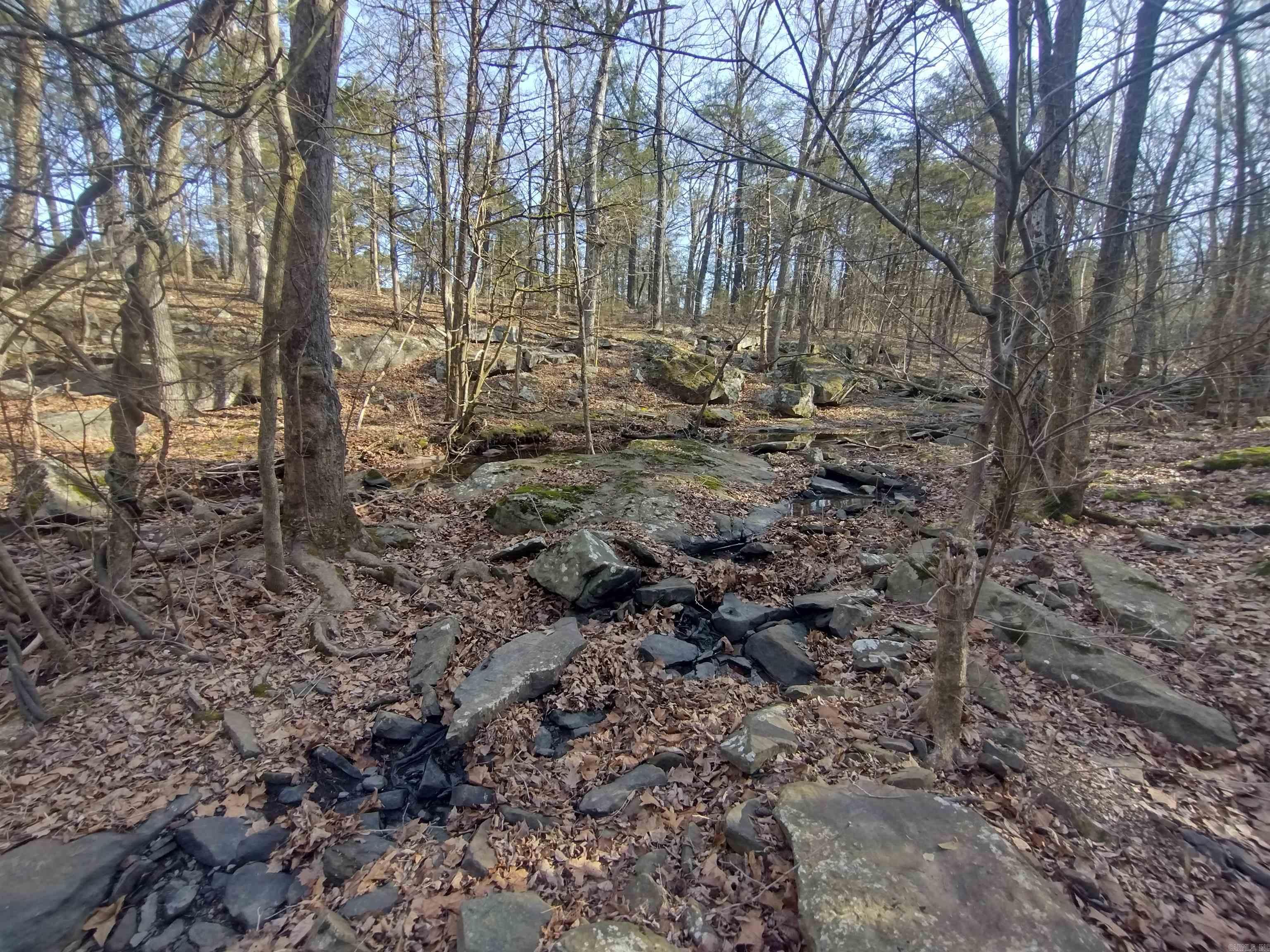 Metes & Bounds - Land