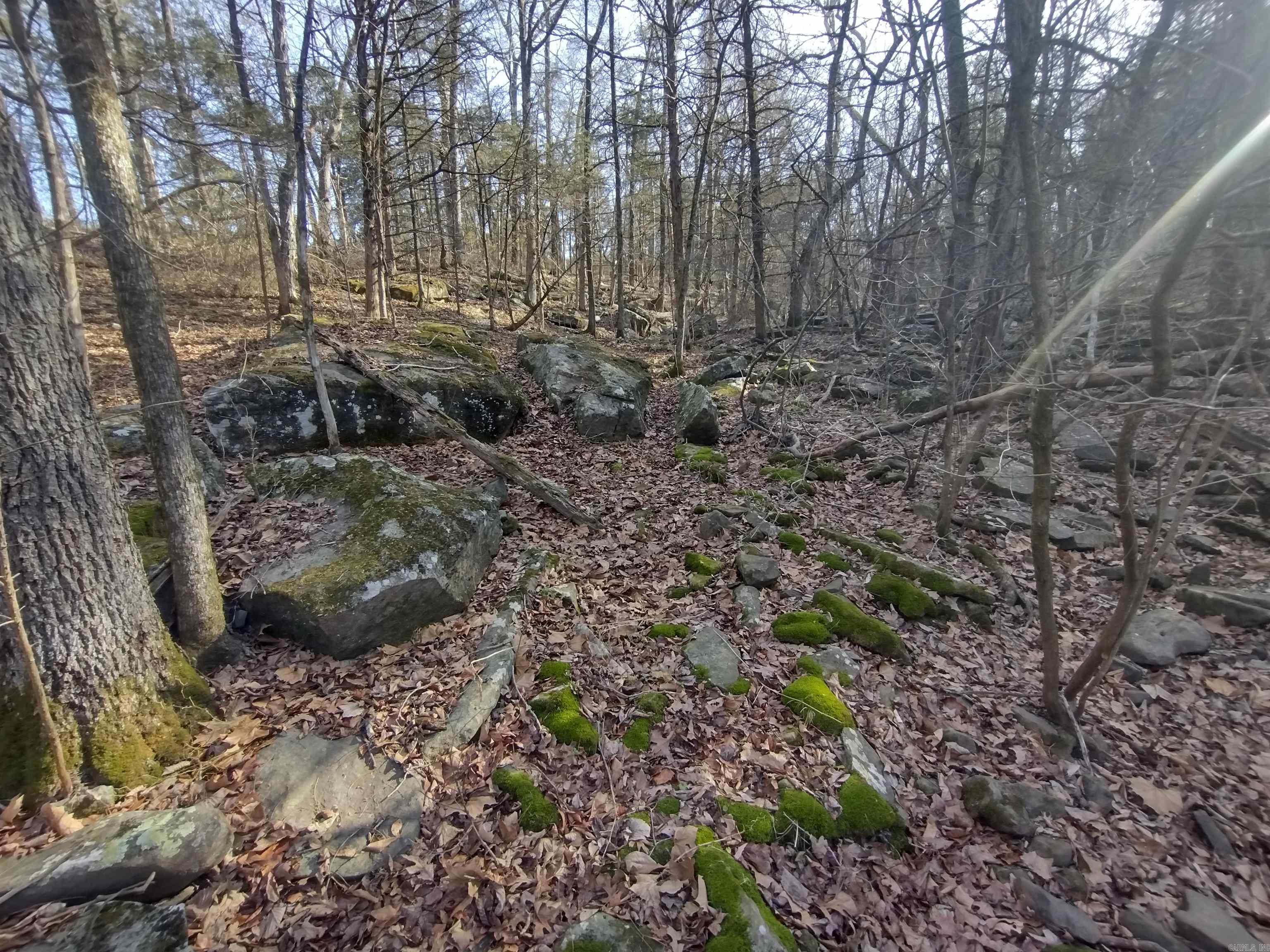 Metes & Bounds - Land