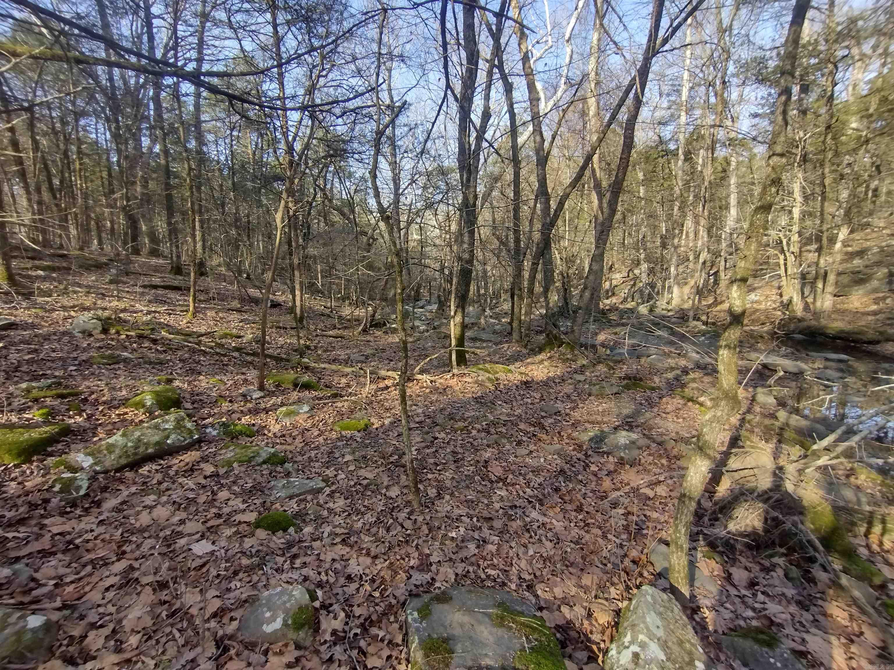 Metes & Bounds - Land