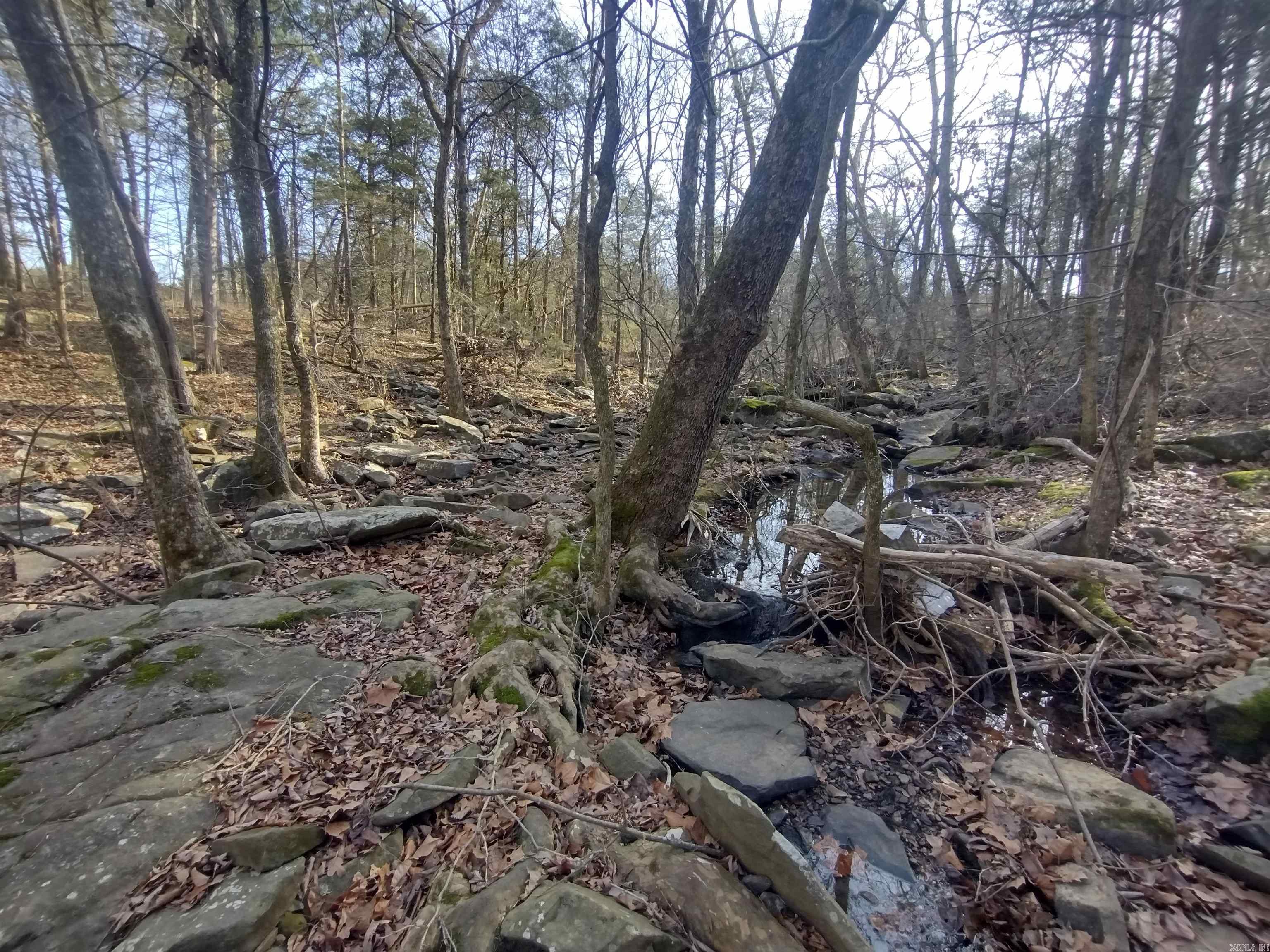 Metes & Bounds - Land