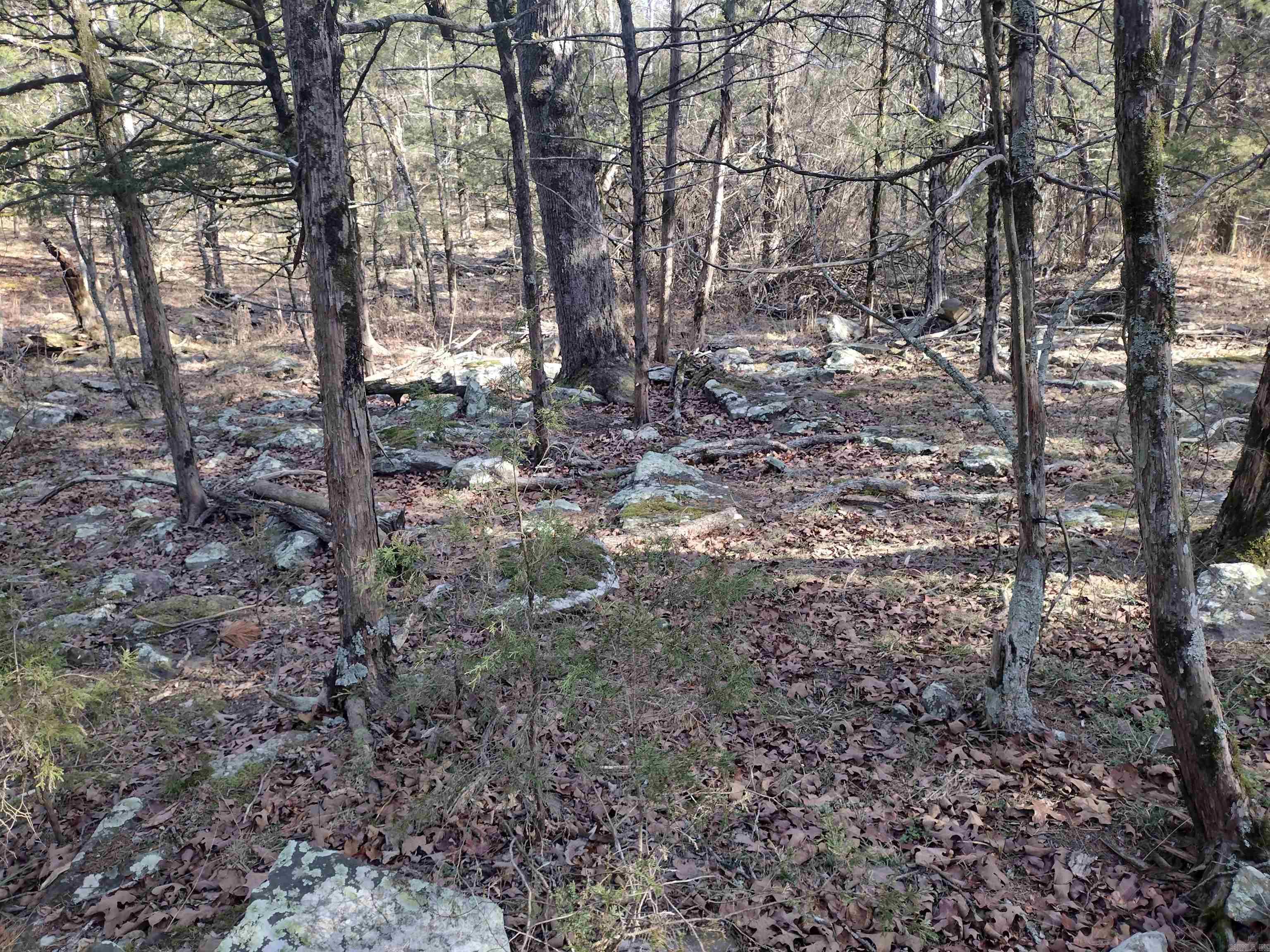 Metes & Bounds - Land