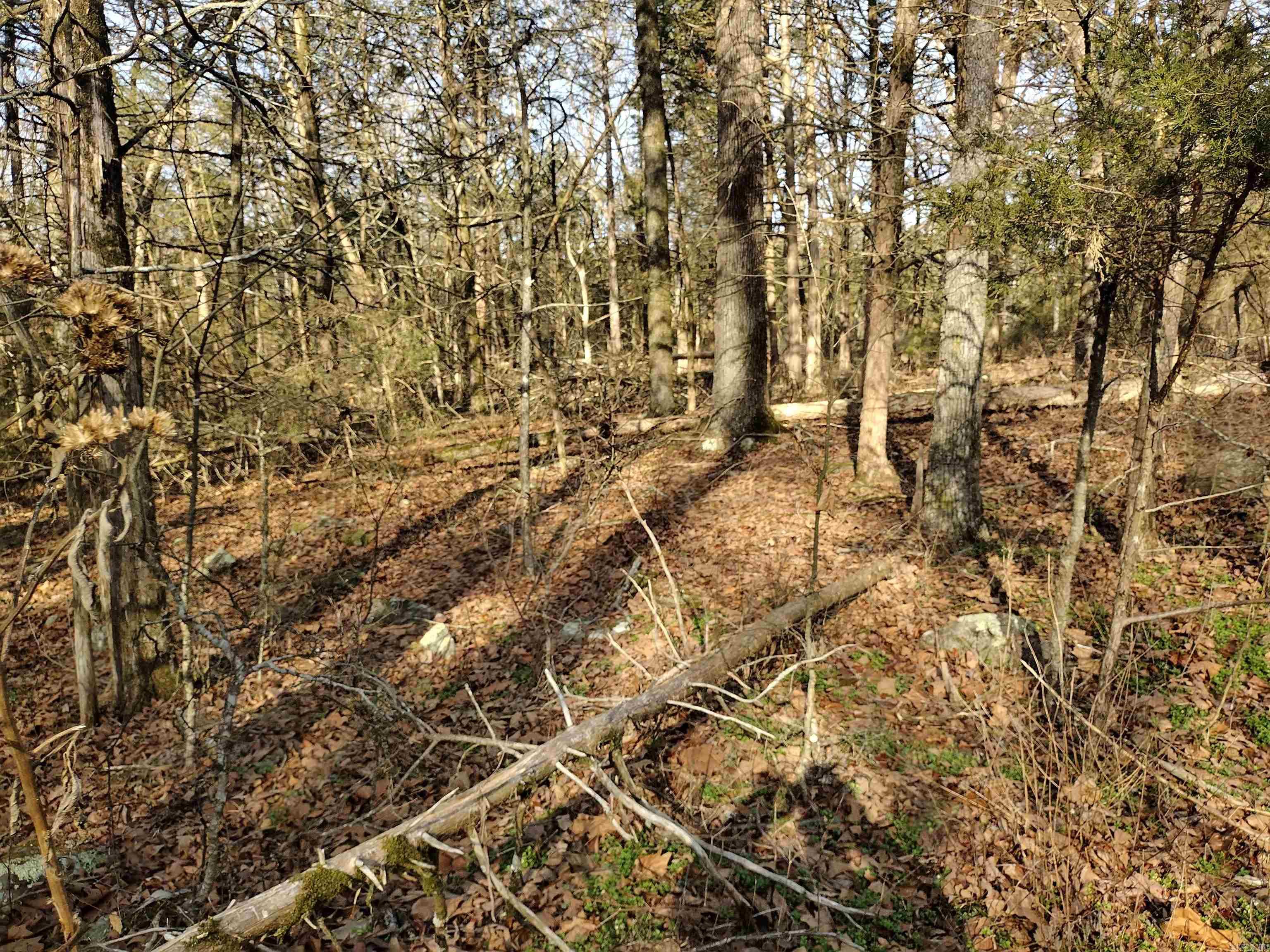 Metes & Bounds - Land