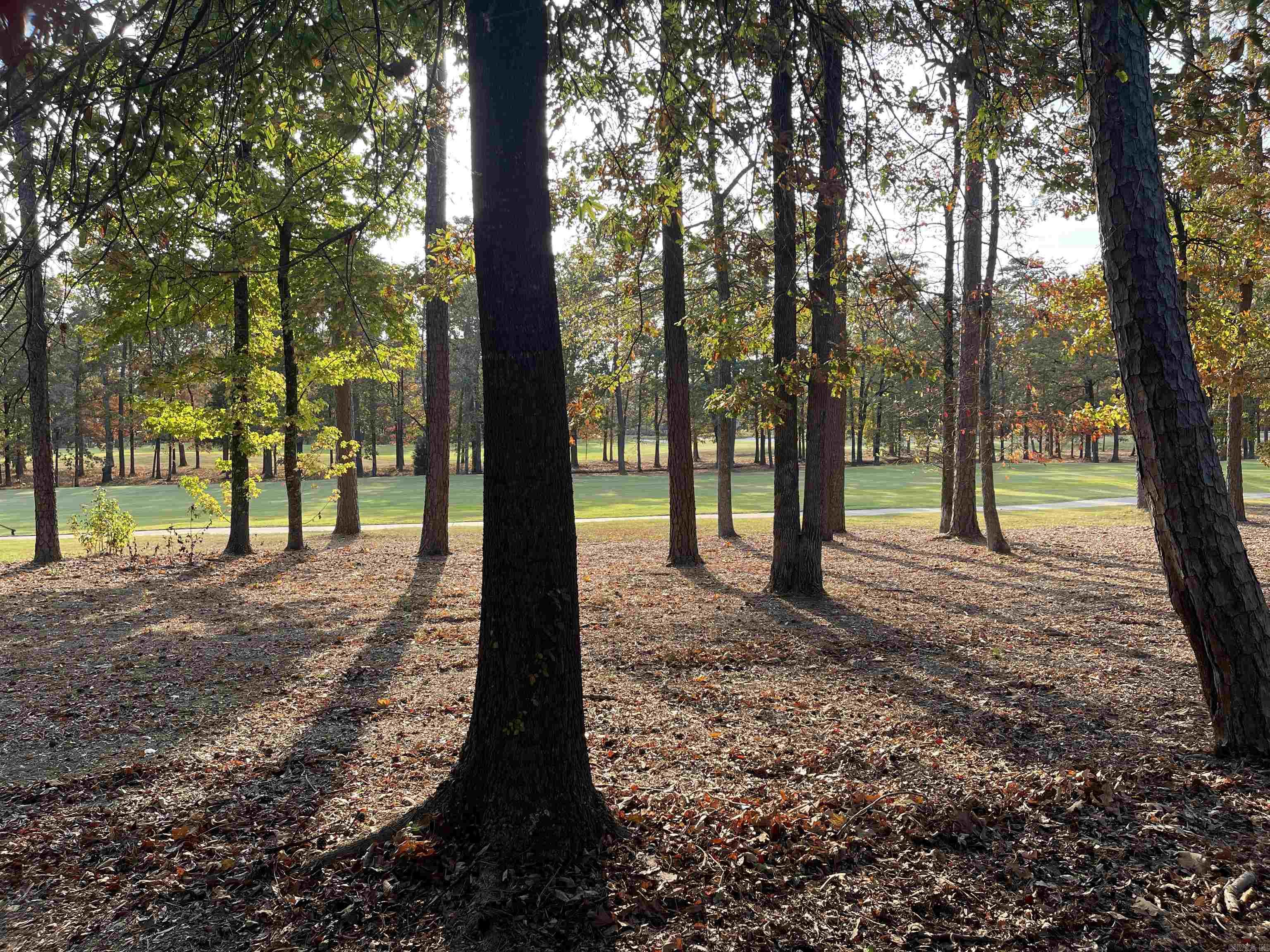 CHENAL VALLEY GERMAY COURT - Residential