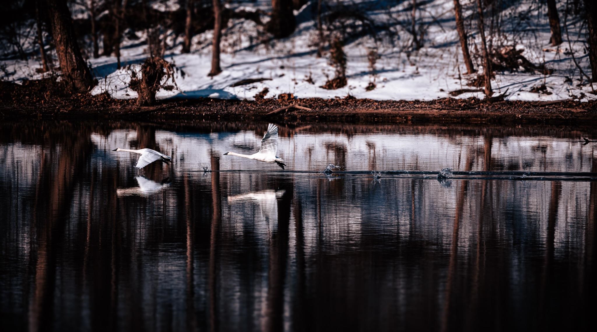 COLLIETOWN SUB - Residential