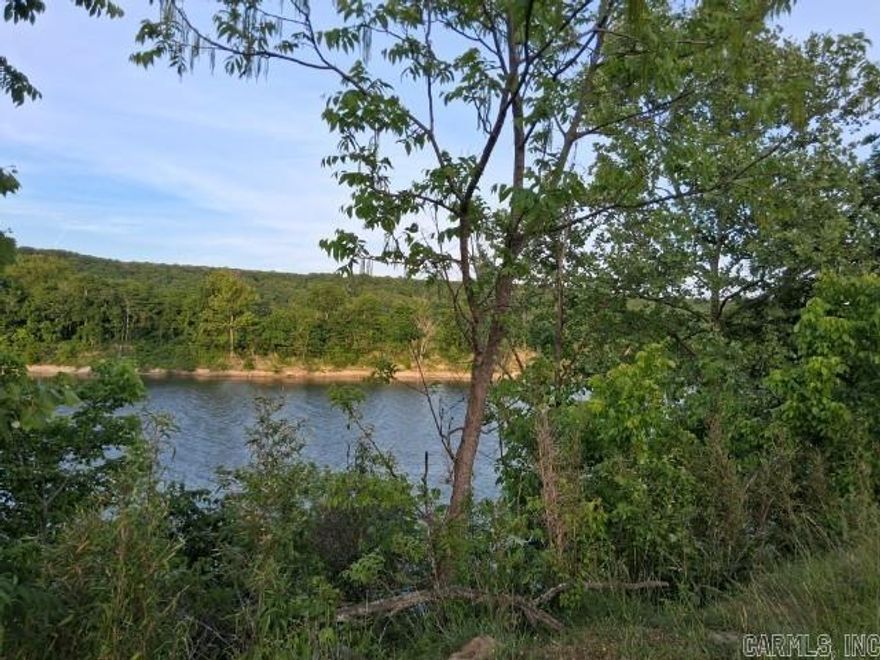 YOUR OWN SPOT ON THE WHITE RIVER IN THE BEAUTIFUL OZARK MOUNTAINS.  This property is 9 acres m/l with pasture, woods and frontage to the White River to enjoy fishing and just relaxing.  Enough cleared to build your new home or cabin on.  Only 1 mile from blacktop road.  Not only is the White River view on this property but also mountains.  Close enough to enjoy the tourist attractions in Mountain View, AR.  Must see for $95,000.00
