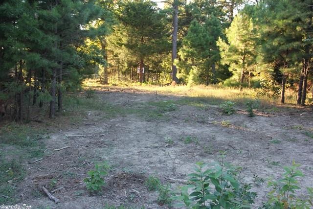 Very nice piece of property with gently rolling hills. Nice hunting land or would make a nice country home place. Utilities available.