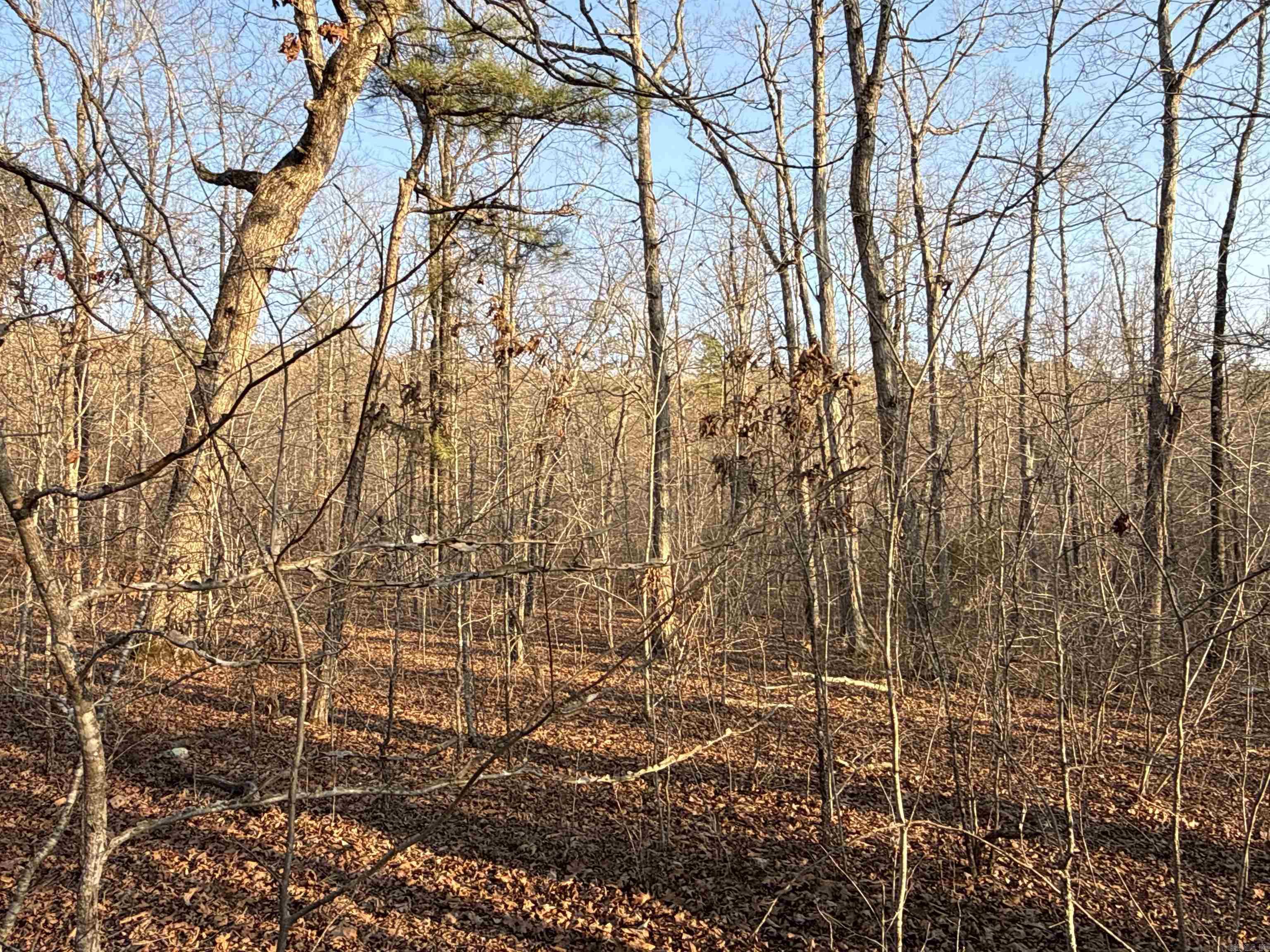 Metes & Bounds - Land