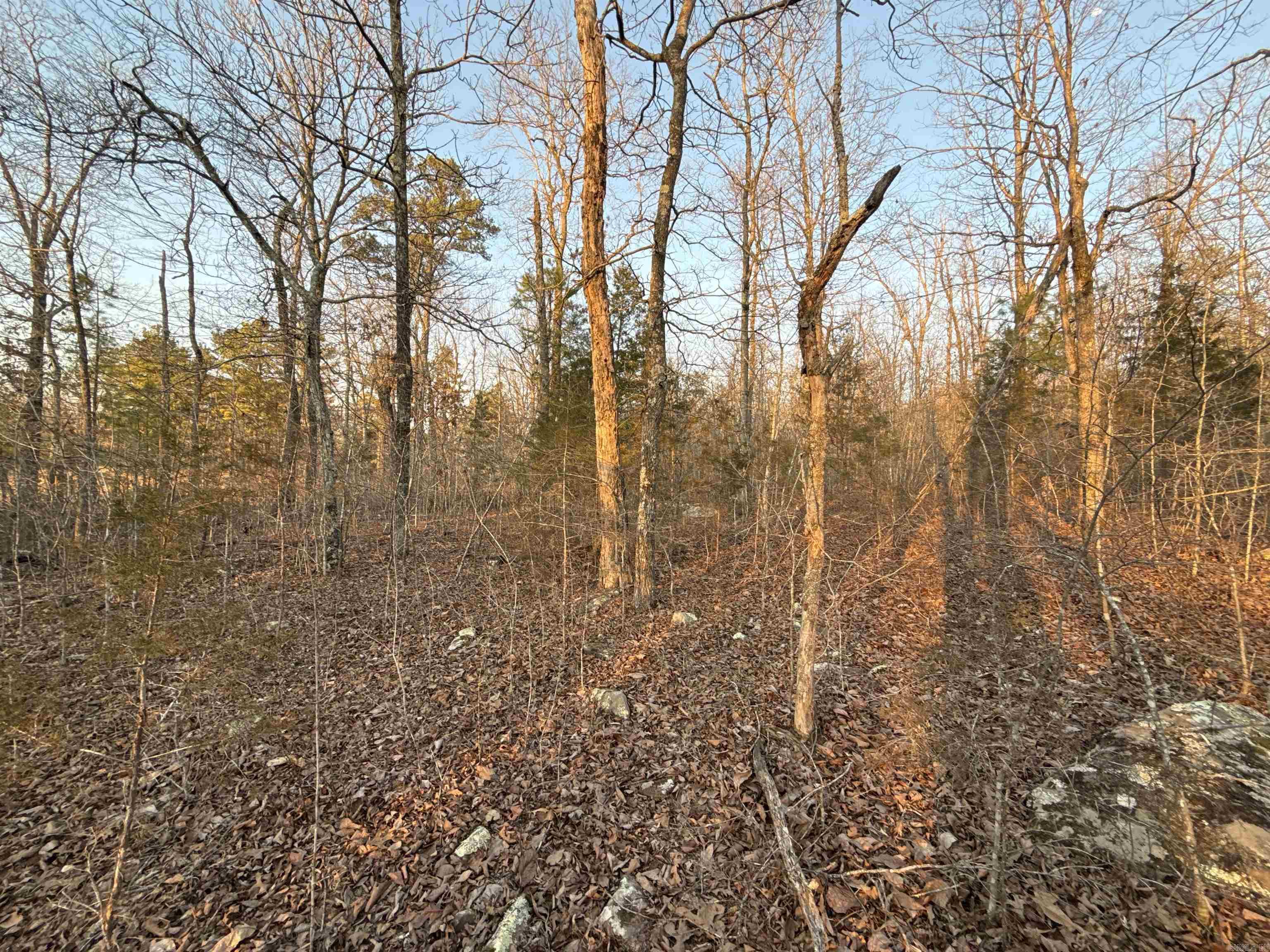 Metes & Bounds - Land