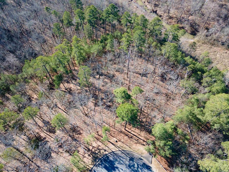 Awesome lot for a Contemporary home. Private wooded cul de sac lot with potential views of Pinnacle Mtn and Downtown Little Rock.  Close to Parks, River, Northshore Golf Range, walking, biking and birding.  Easy access to I430 or I40