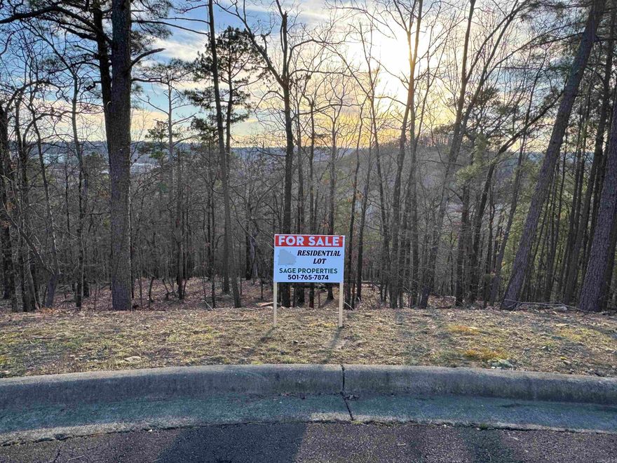 Awesome lot for a Contemporary home. Private wooded cul de sac lot with potential views of Pinnacle Mtn and Downtown Little Rock.  Close to Parks, River, Northshore Golf Range, walking, biking and birding.  Easy access to I430 or I40