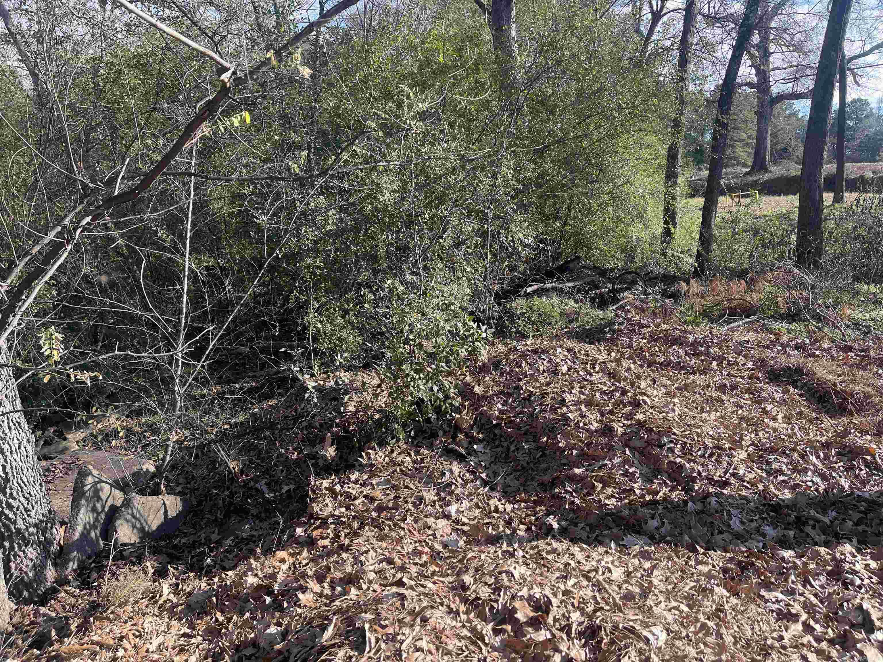 Check out this .33 acre lot in the city-limits of De Queen, AR with highway frontage. City utilities are available but not on site, and this property is currently zoned as residential.