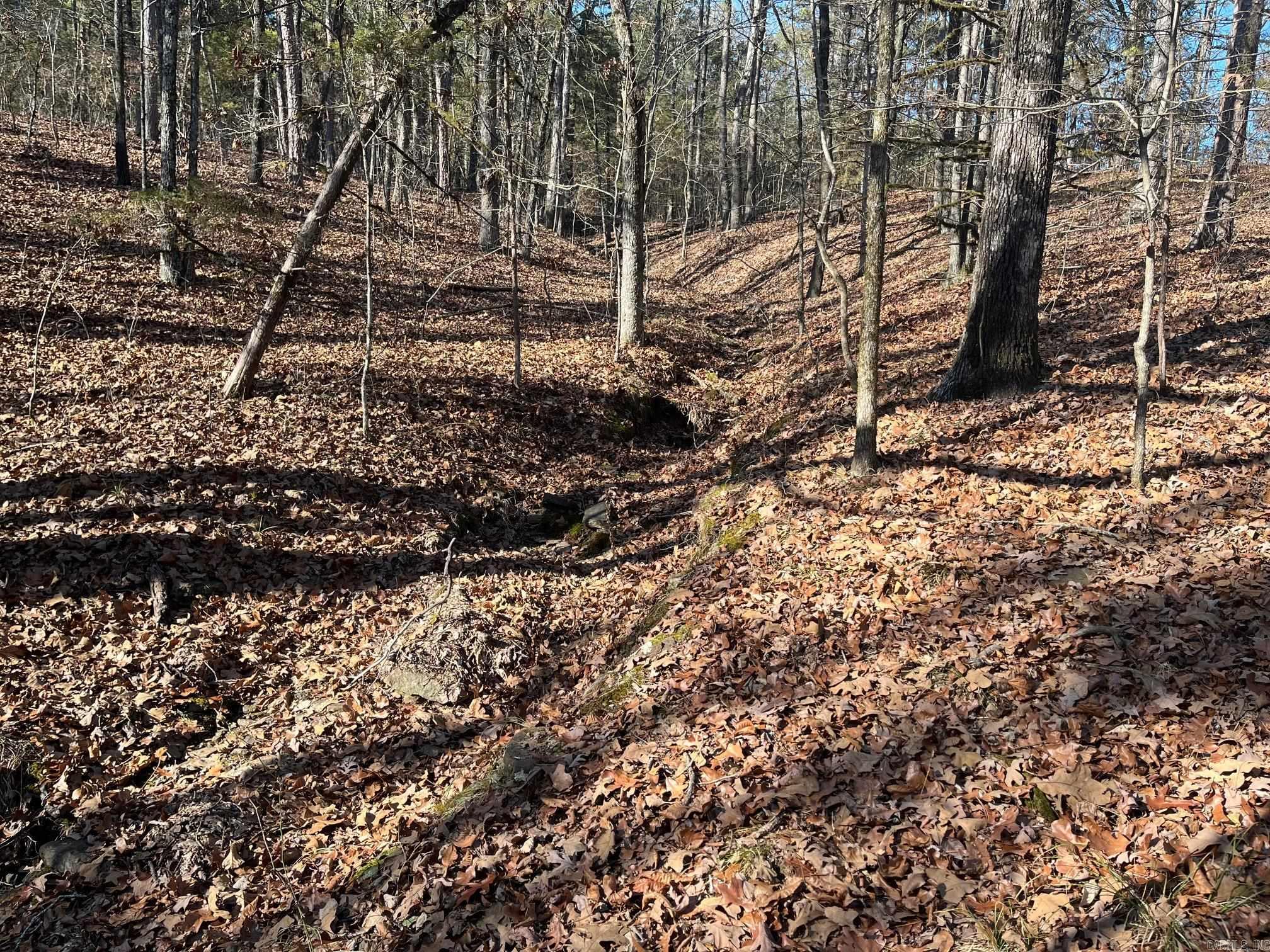 Metes & Bounds - Land