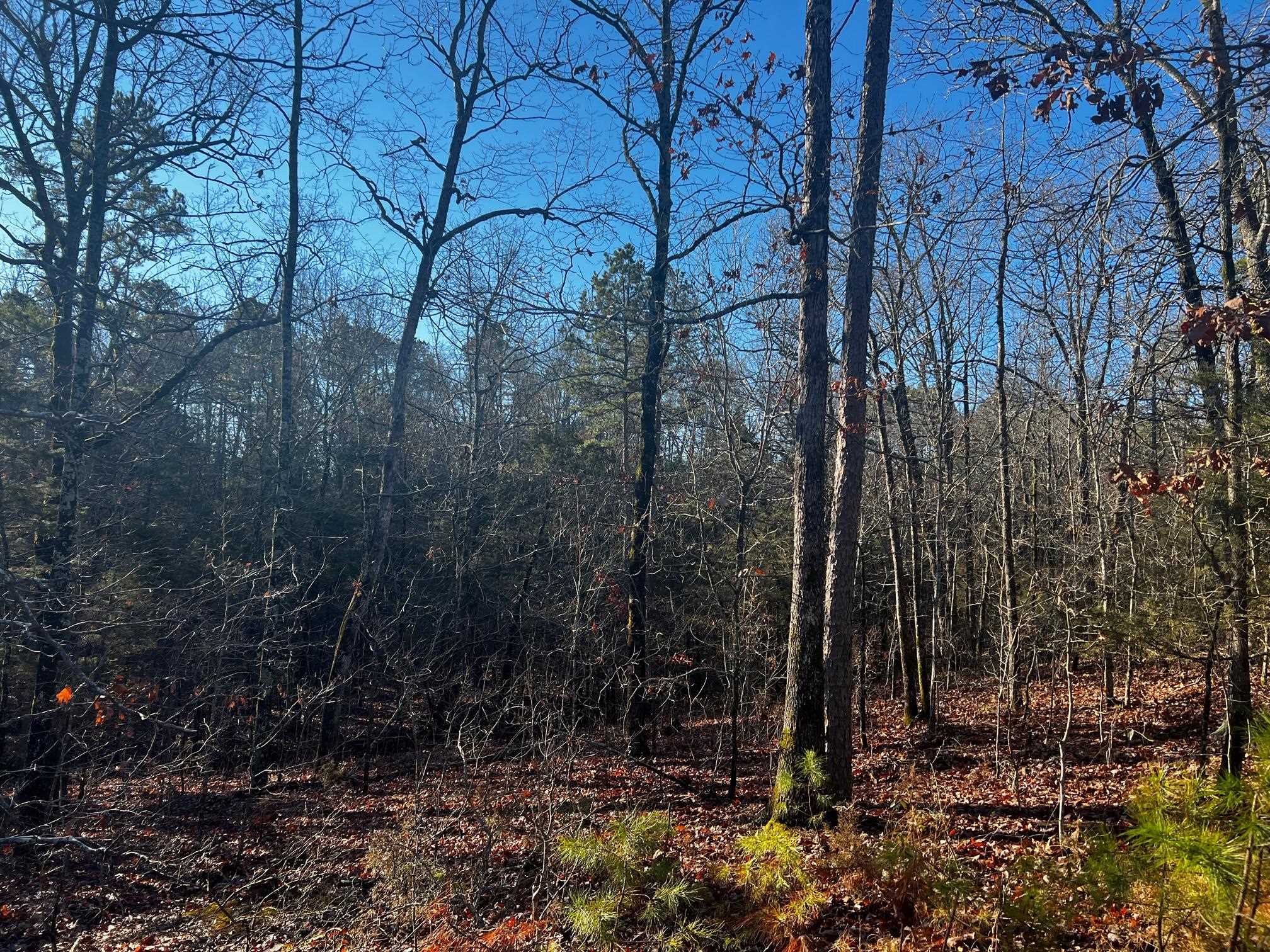 Metes & Bounds - Land