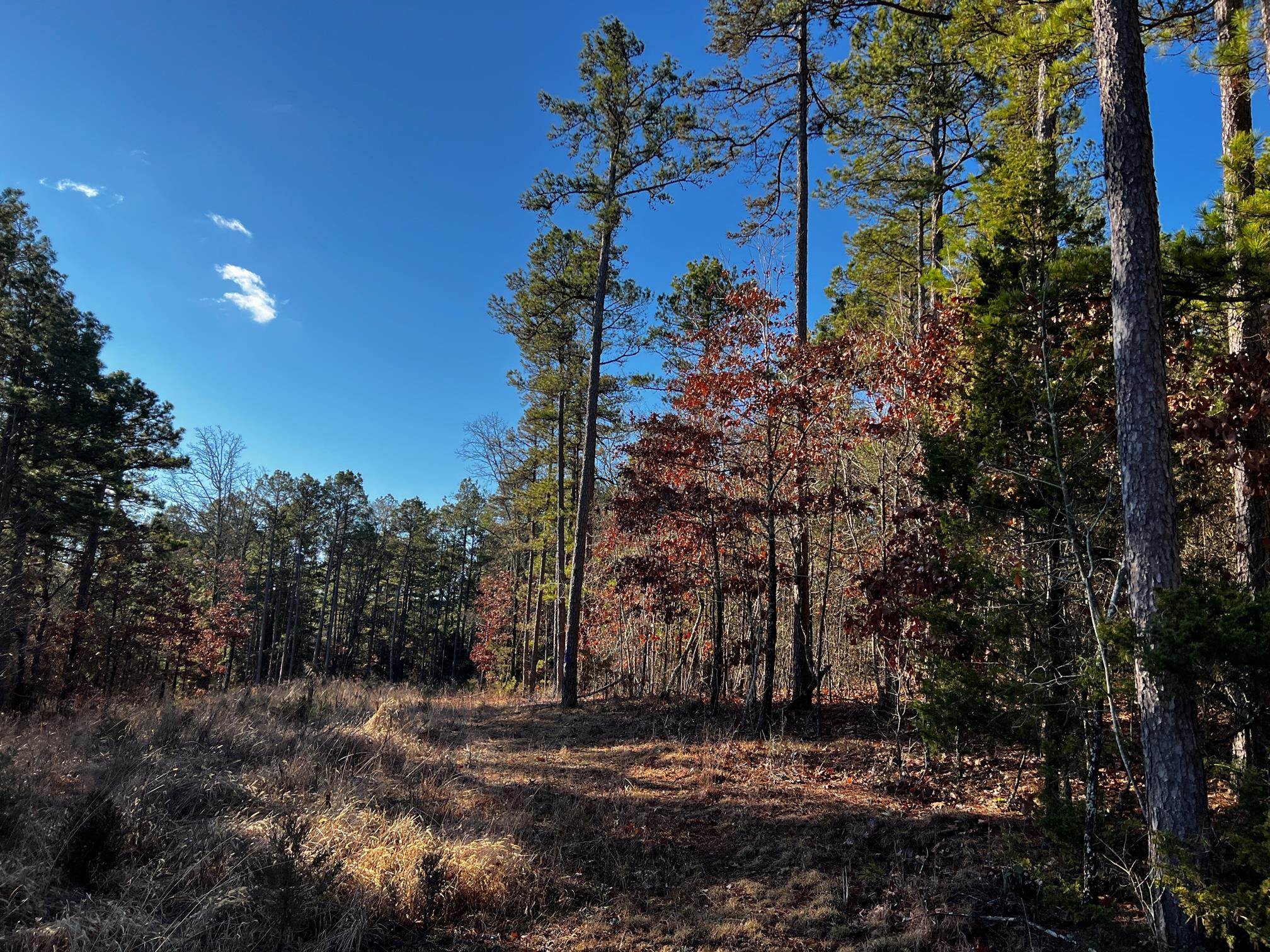 Metes & Bounds - Land