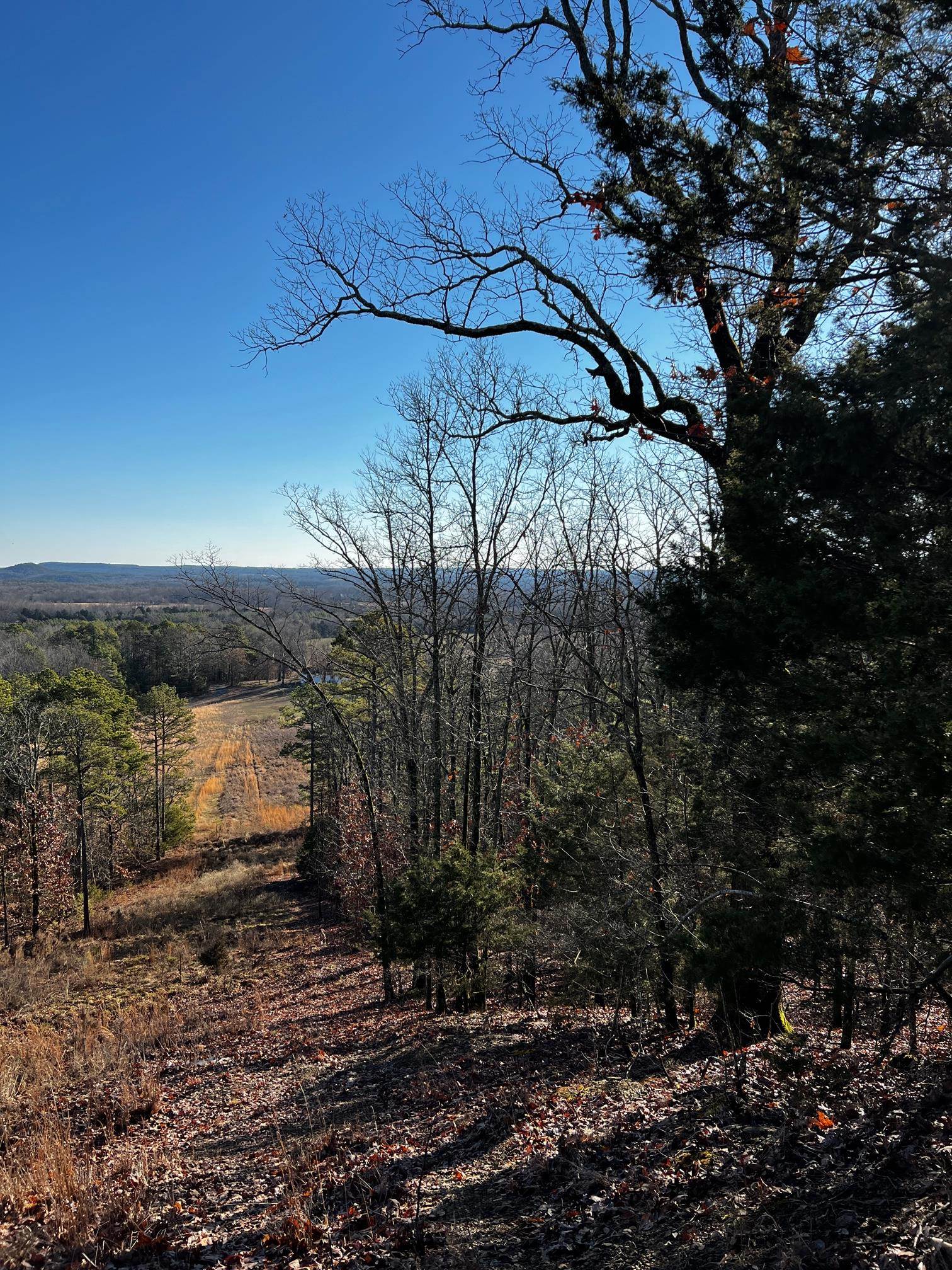 Metes & Bounds - Land