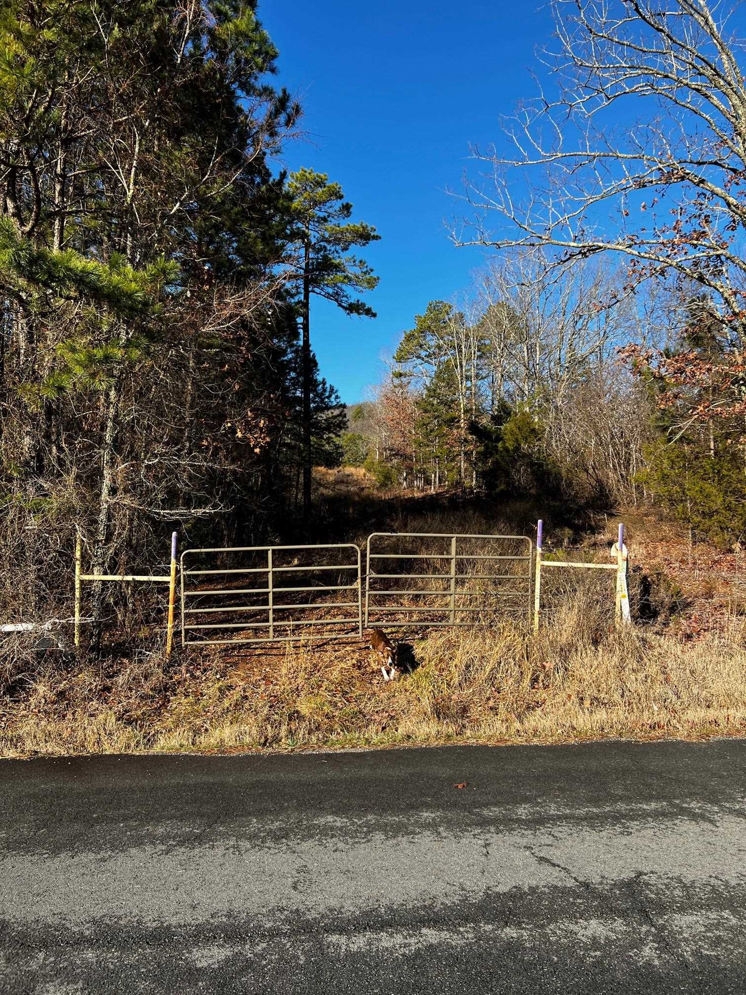 Metes & Bounds - Land